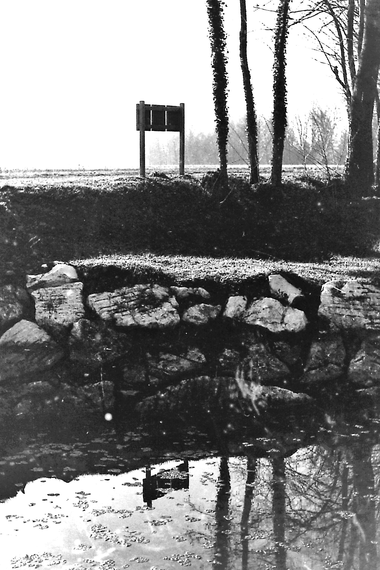 Passeggio sul fiume con una Nikon F3