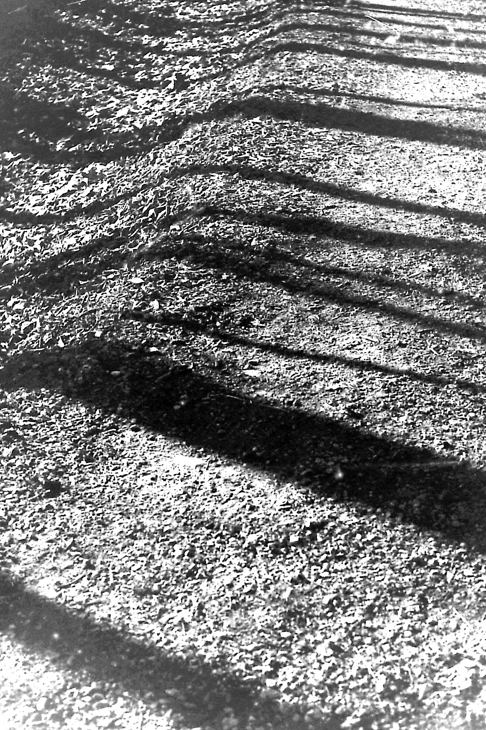 Passeggio sul fiume con una Nikon F3