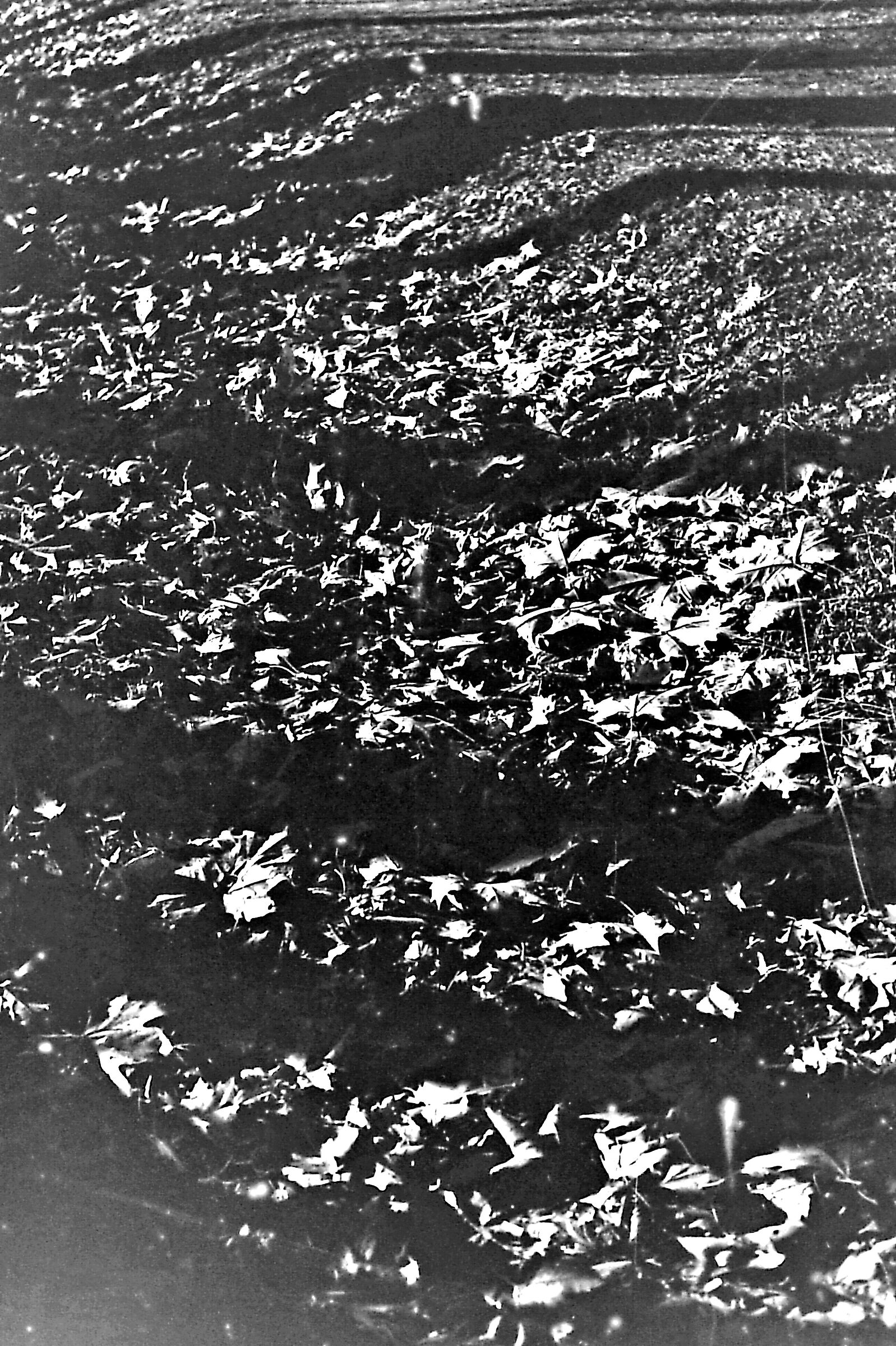 Passeggio sul fiume con una Nikon F3