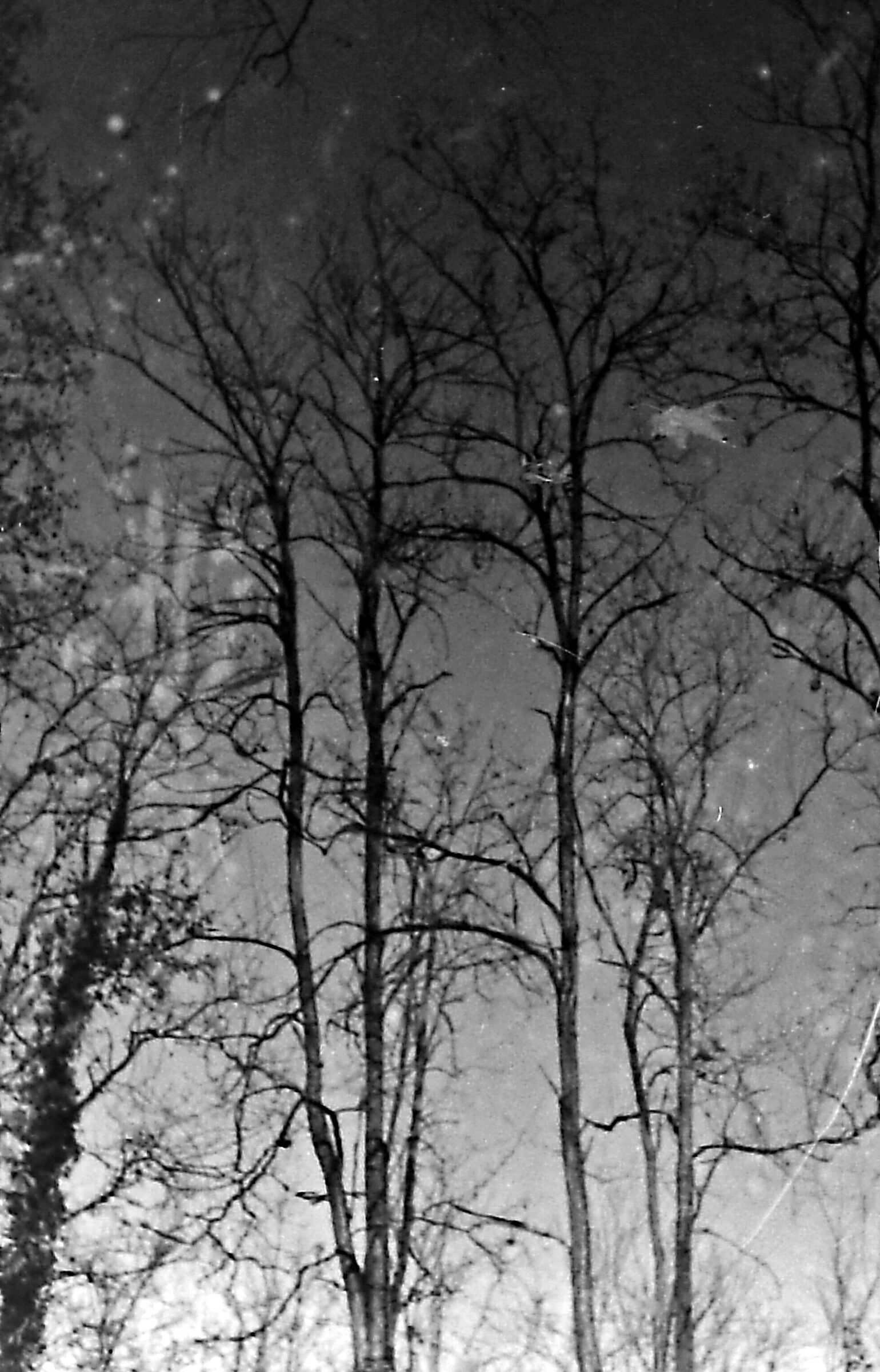 Passeggio sul fiume con una Nikon F3