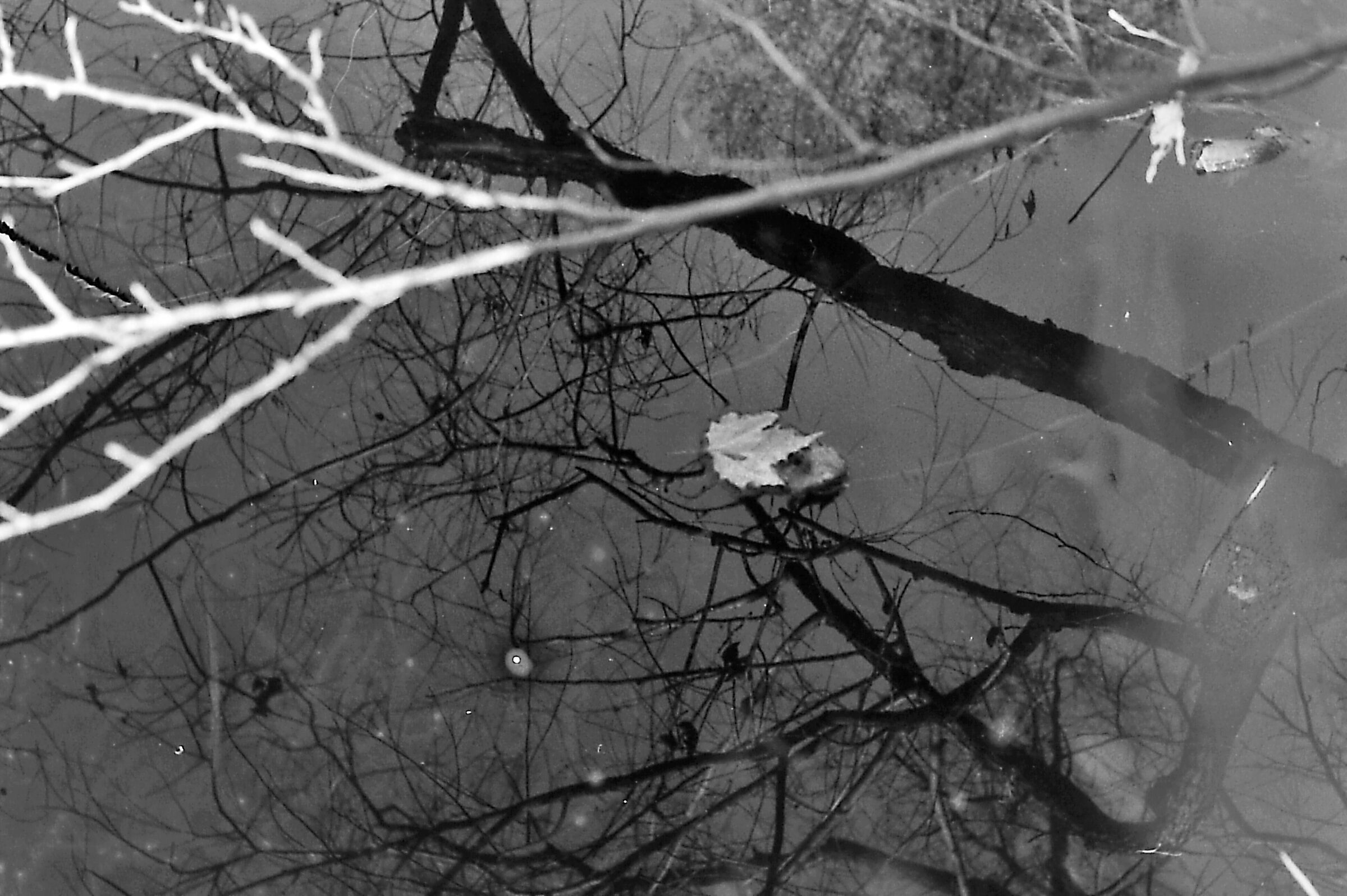 Passeggio sul fiume con una Nikon F3