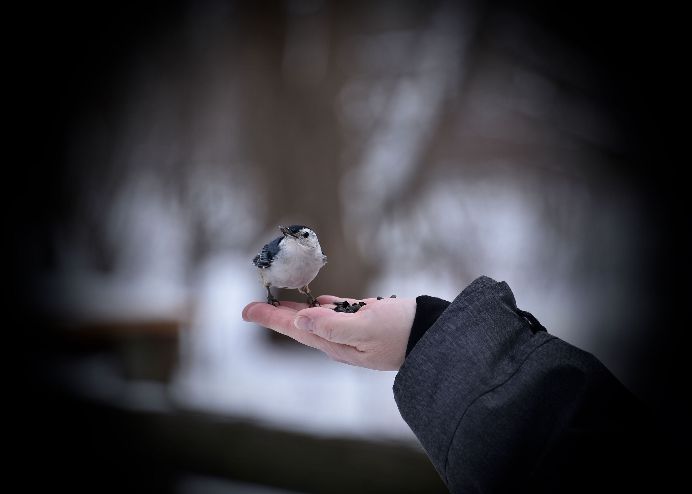 Ho fame, è inverno!