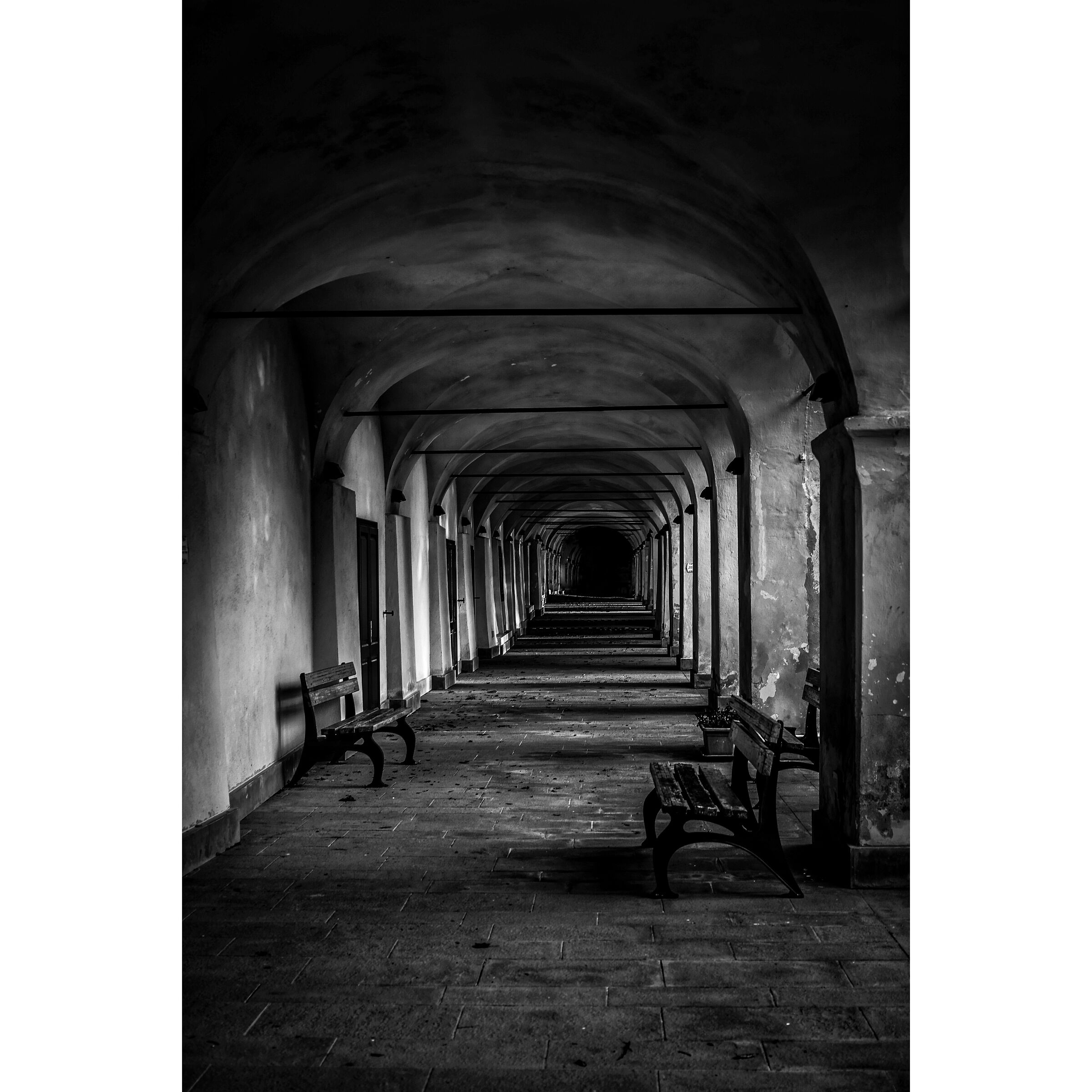 Untitled Photo