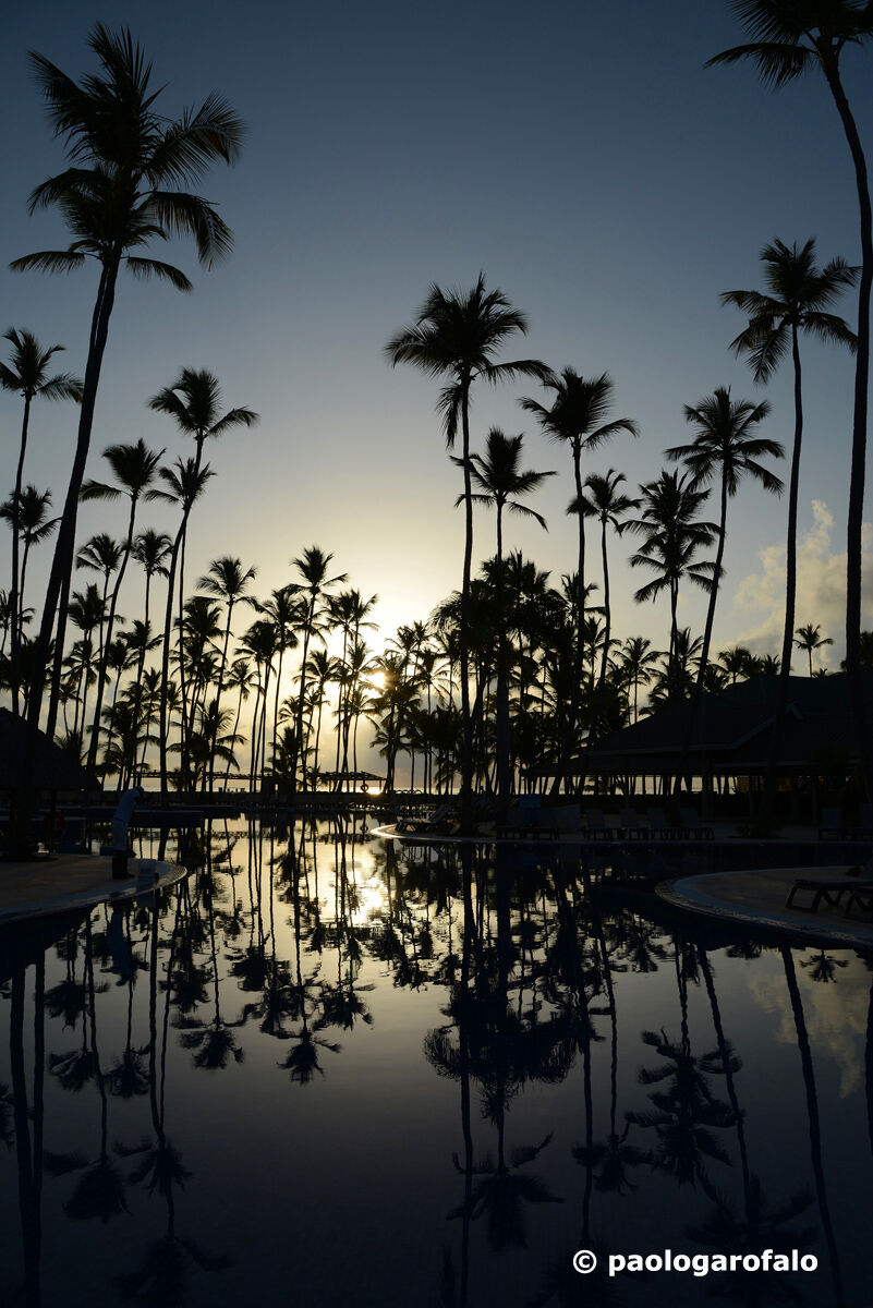 Backlight reflection