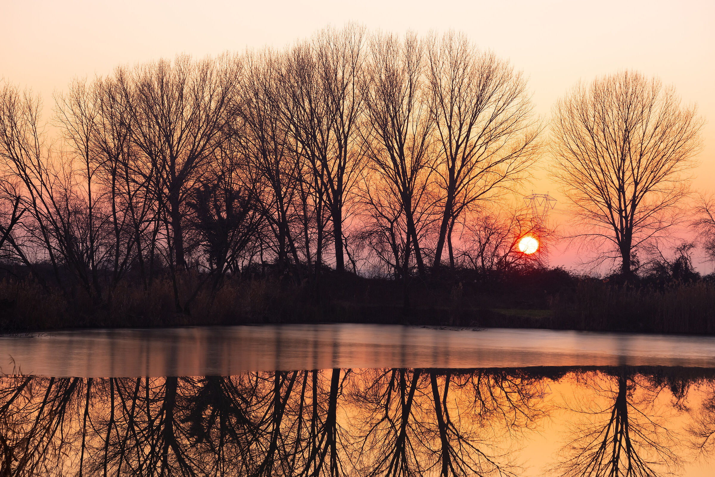 The thin aramcione line