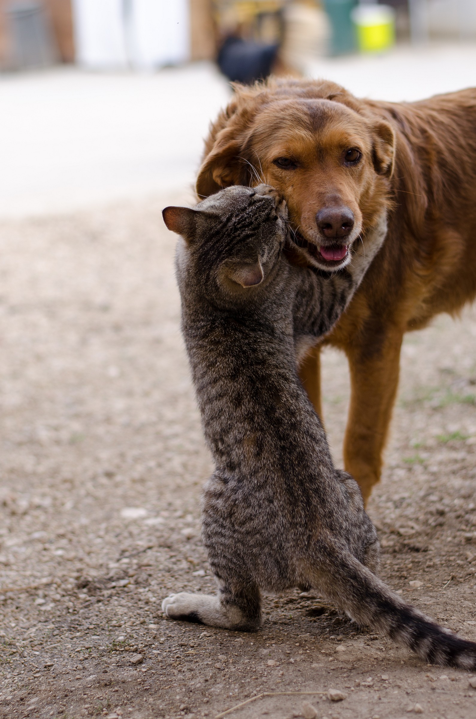 We must be close neighbors