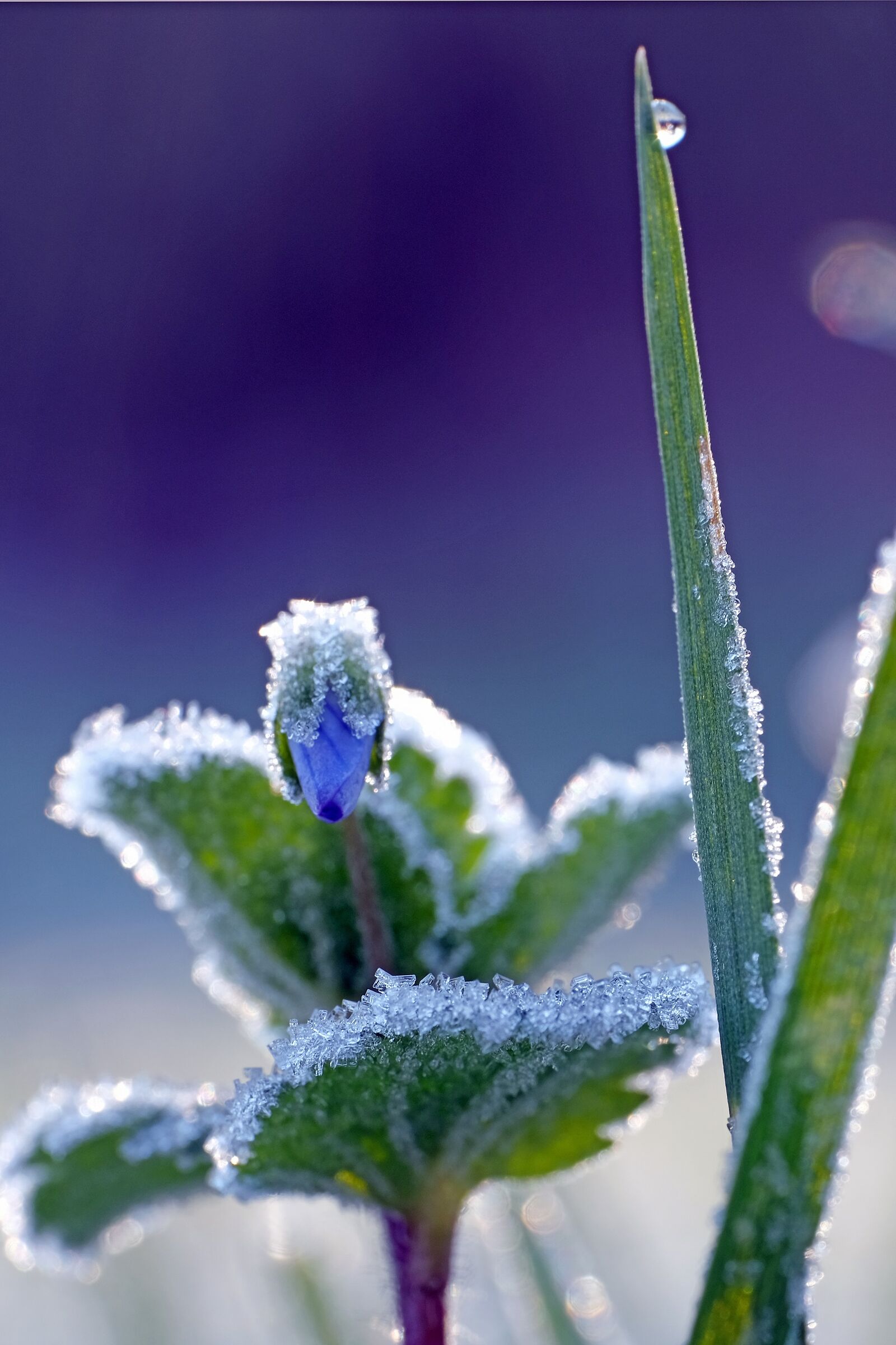 Before Flora arrives