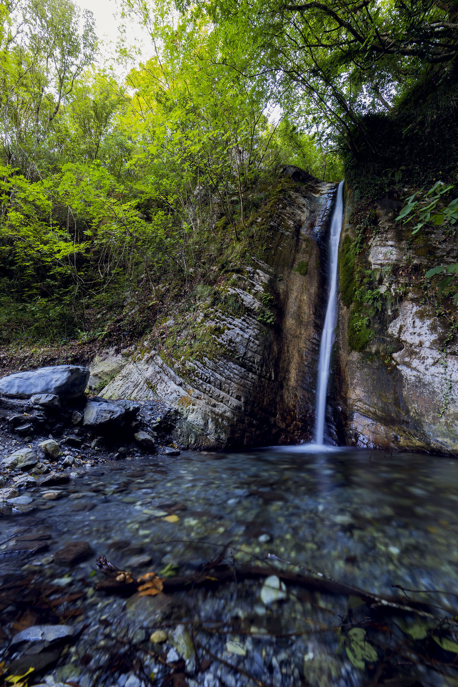 I colori della natura*