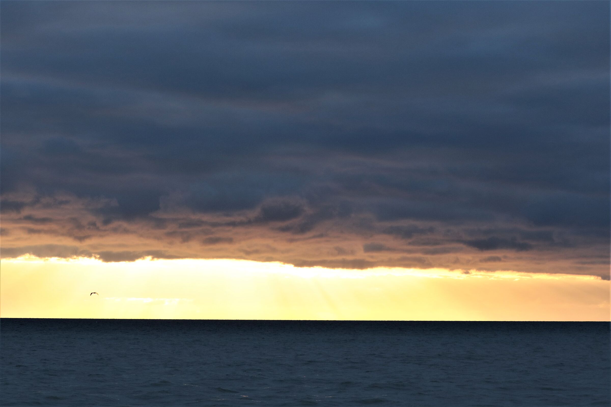 Marina di Montalto di Castro
