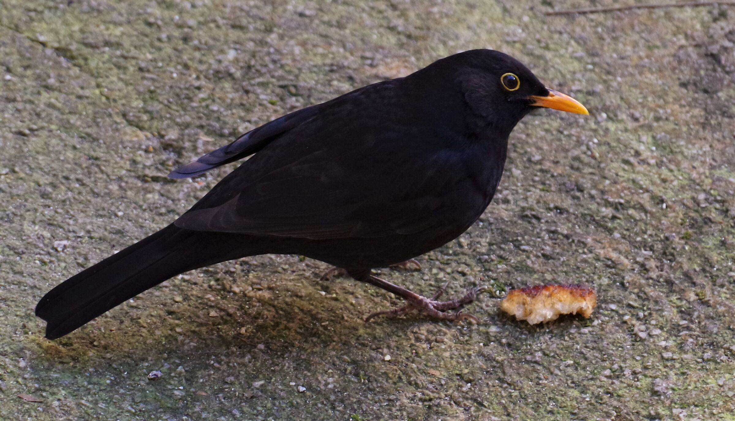 Dai che mi sono in posa x te !!!