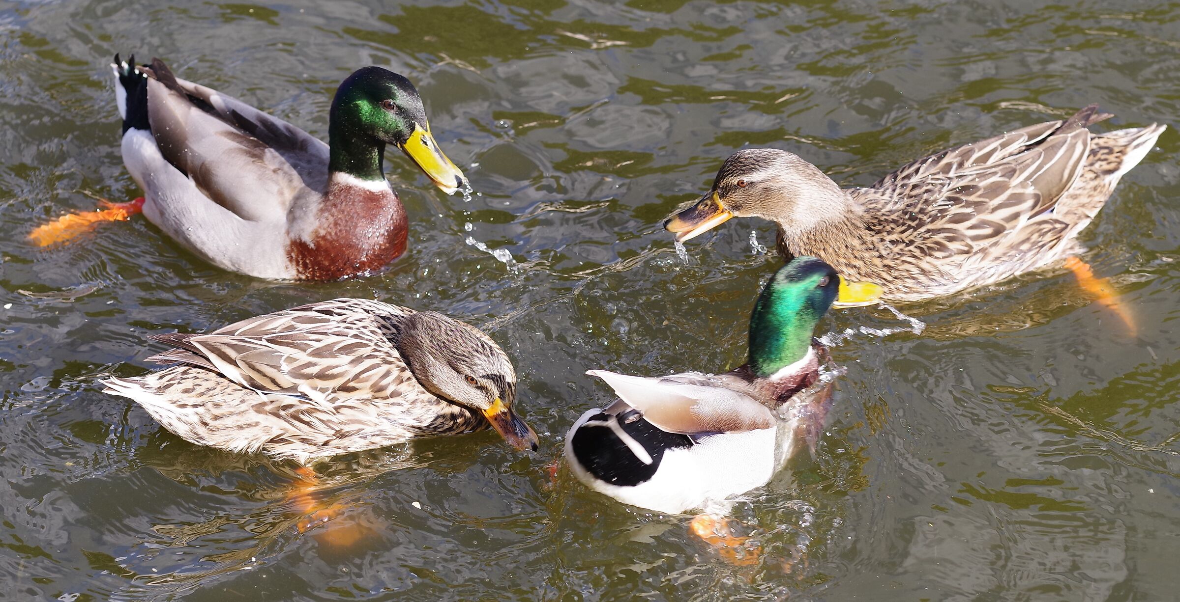 Pettegolezzi tra colleghi