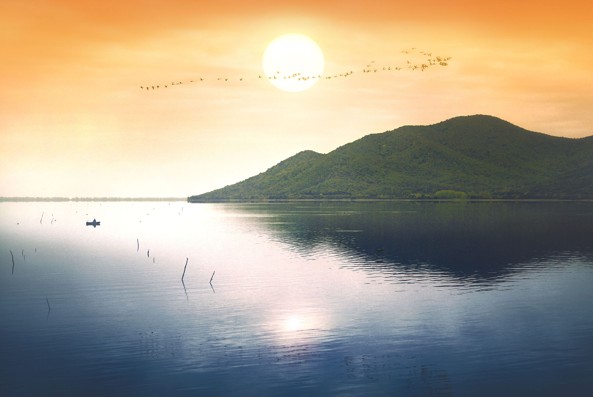 ~~ The Immigrant Song ~~