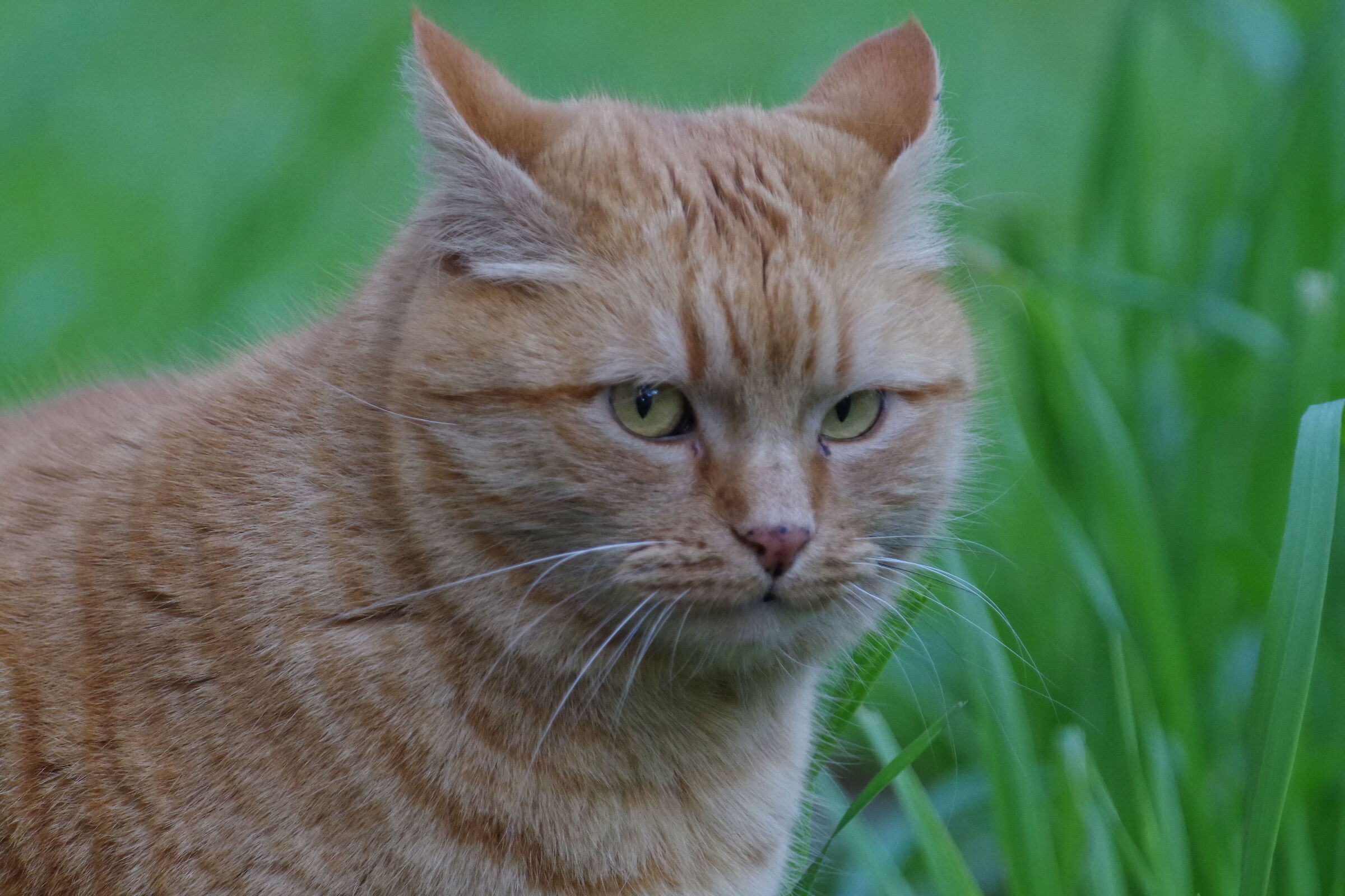 Sono dolcissima :) se mi sai prendere !!!