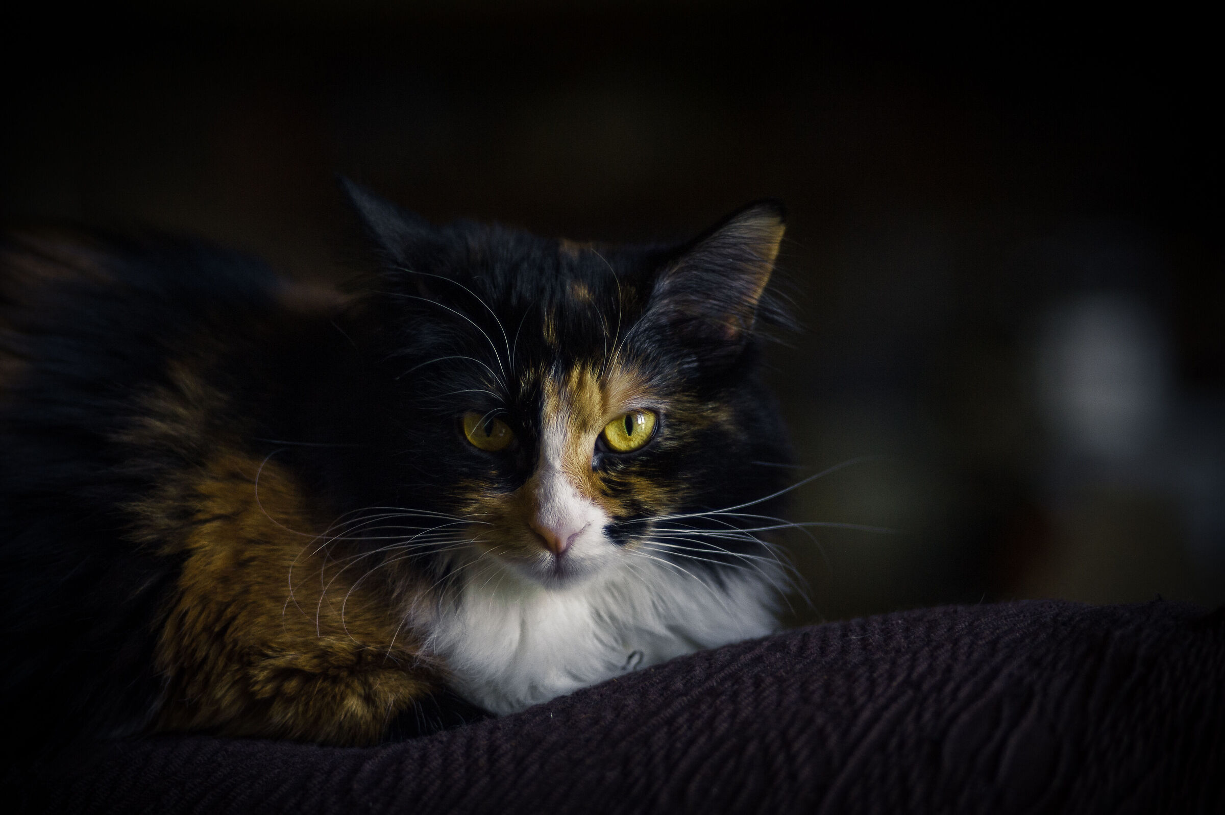 My beautiful little heart: Lea