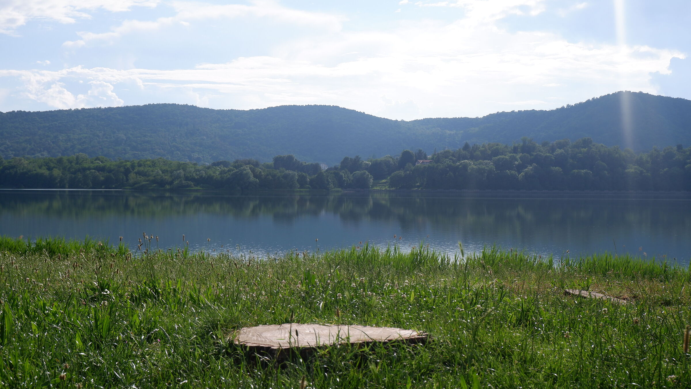 The view of the stump