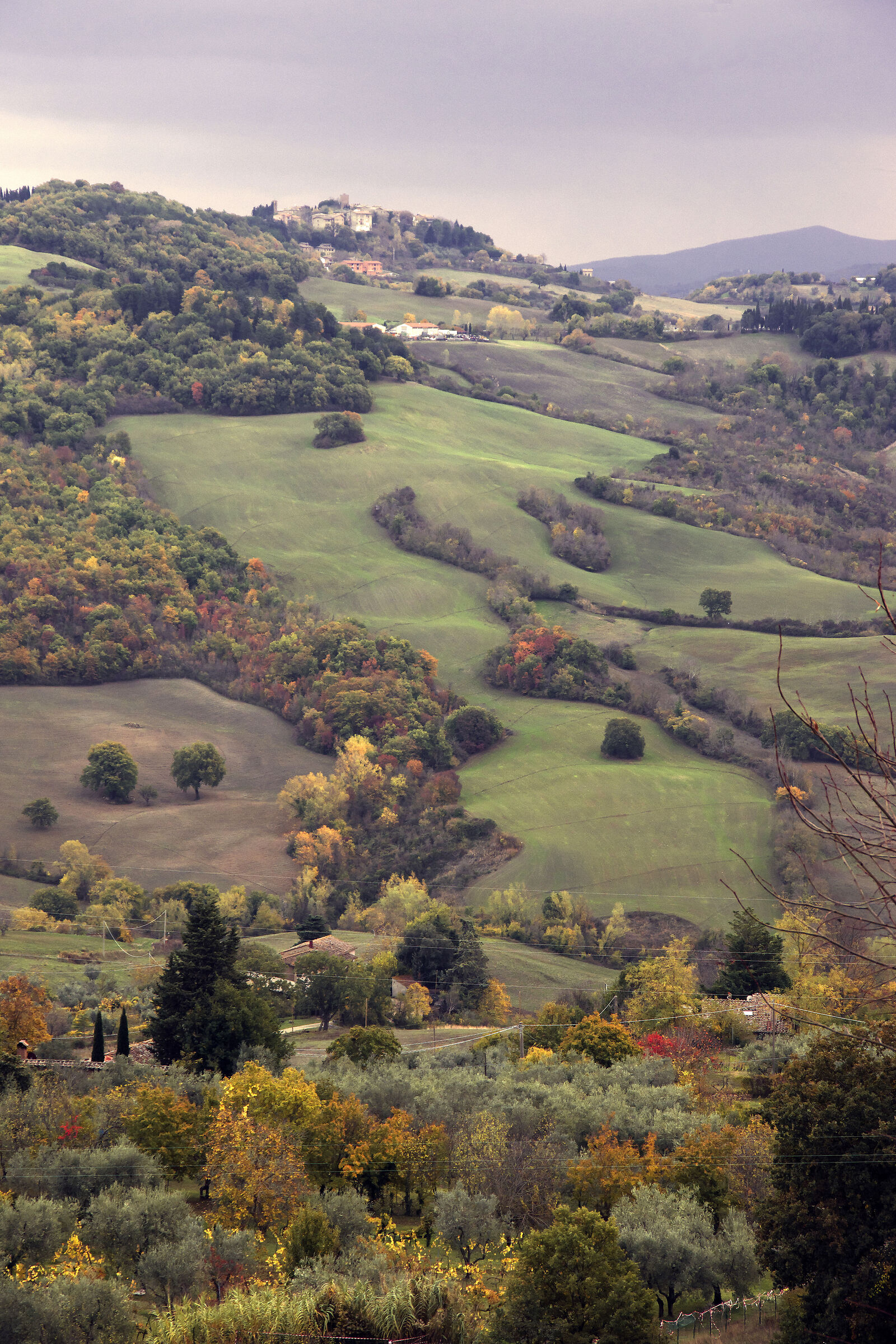 Il castello solitario