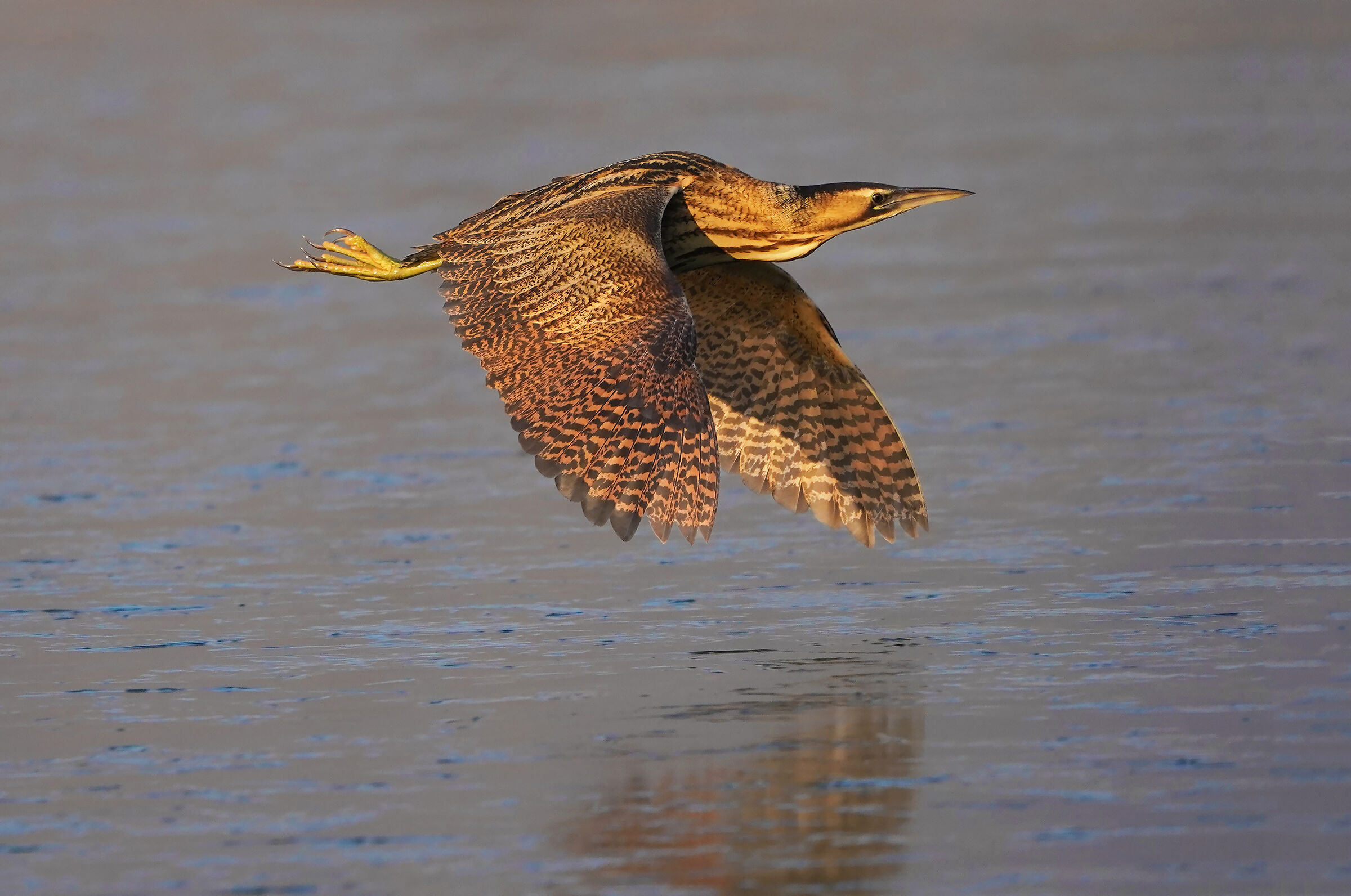 tramonto sul ghiaccio