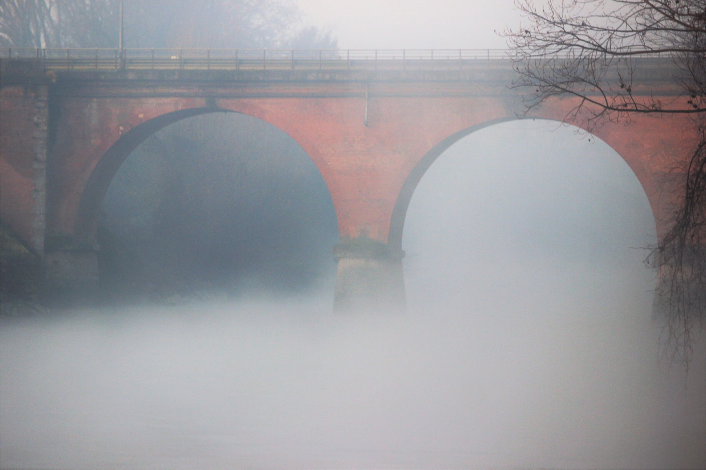 immerso nella nebbia