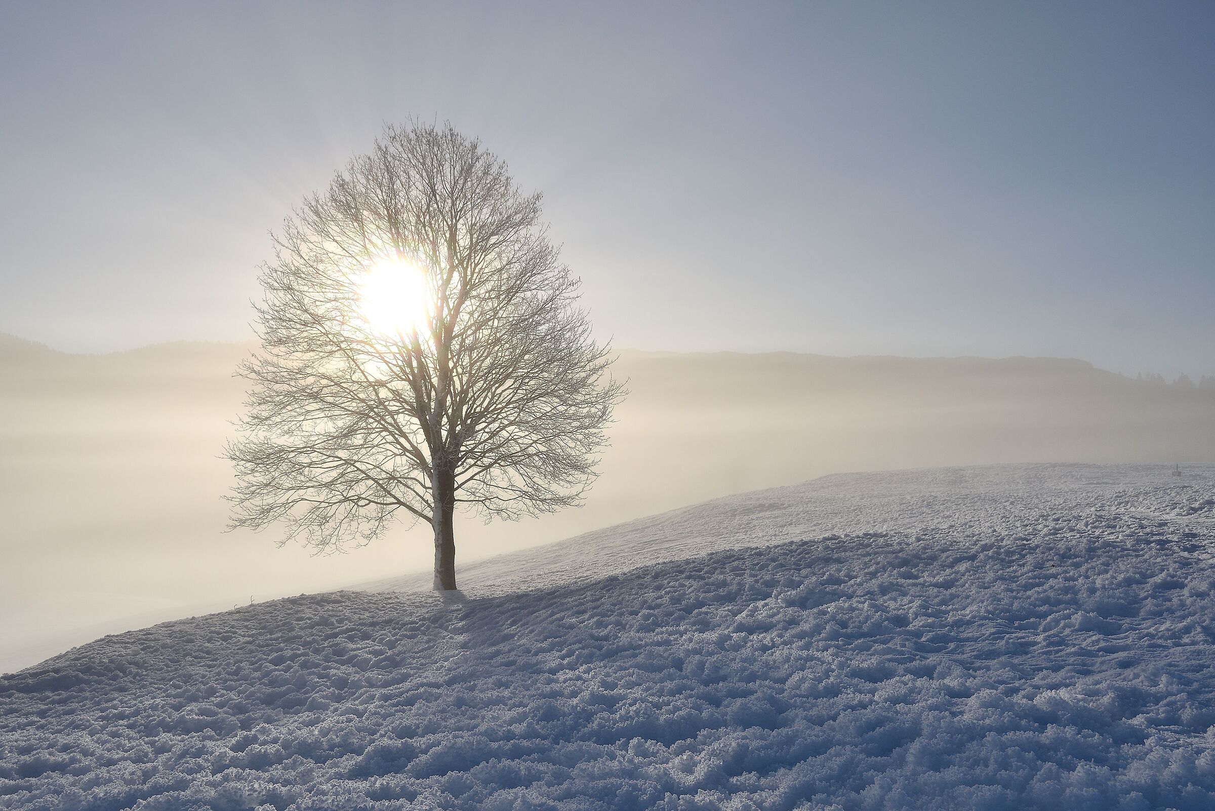 Frozen sunrise