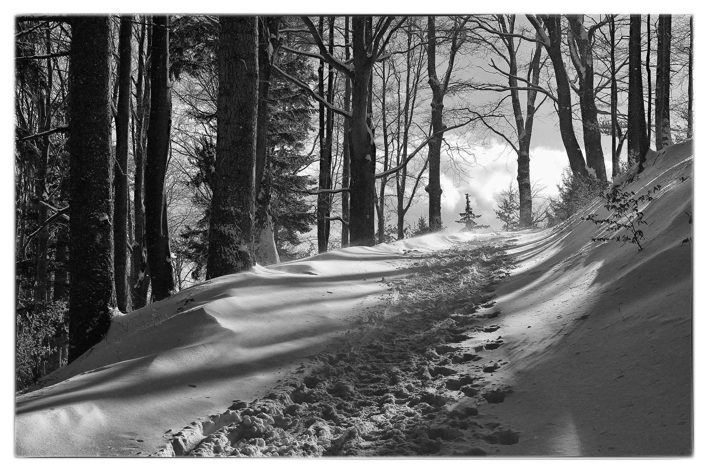 Untitled Photo