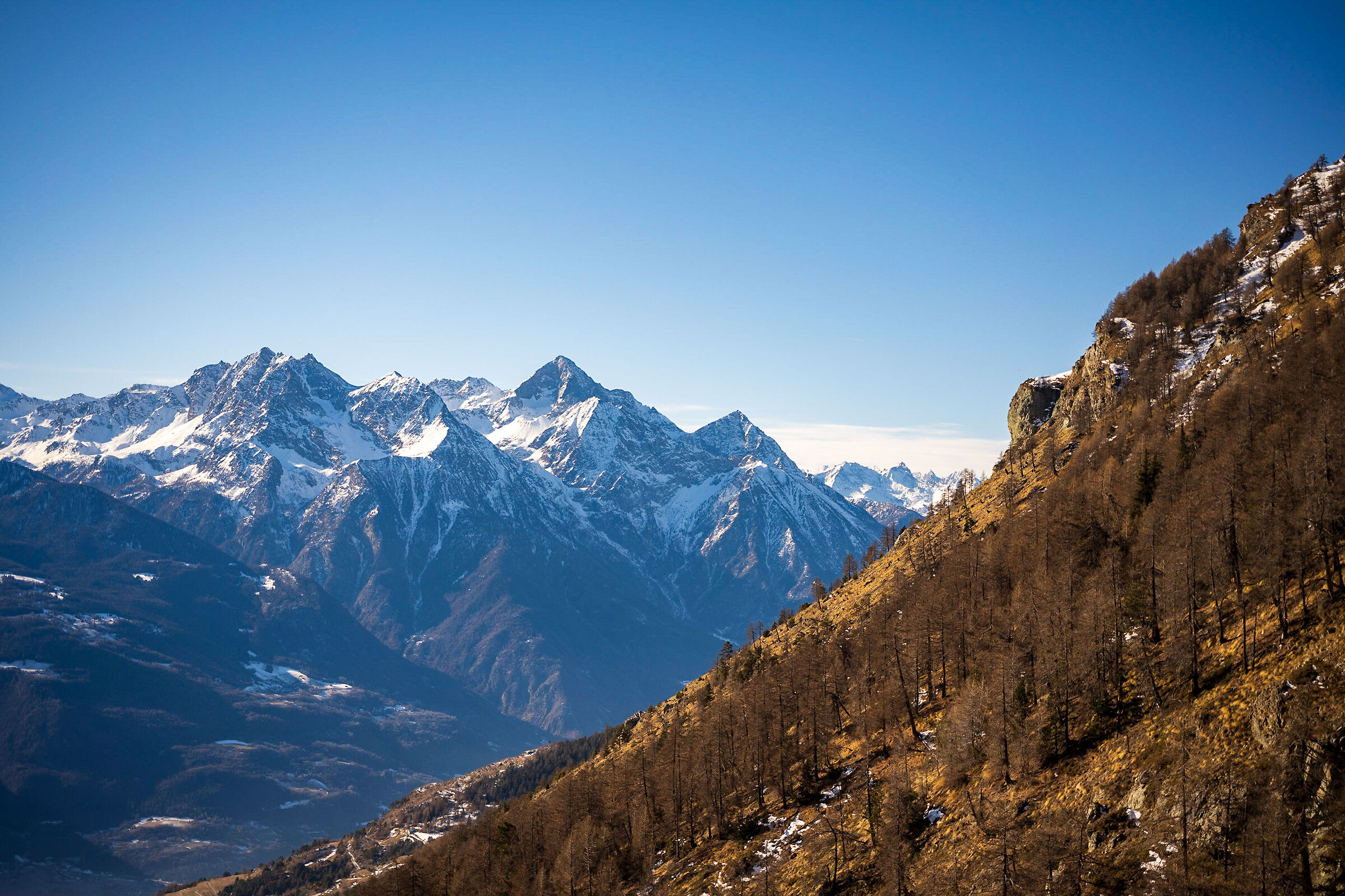 Pendio verso cima Longhede - Val d'Aosta