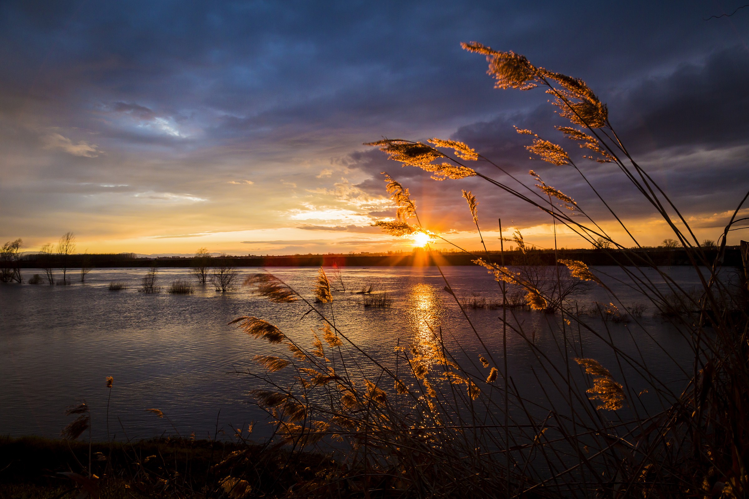 sunset on the Rhine
