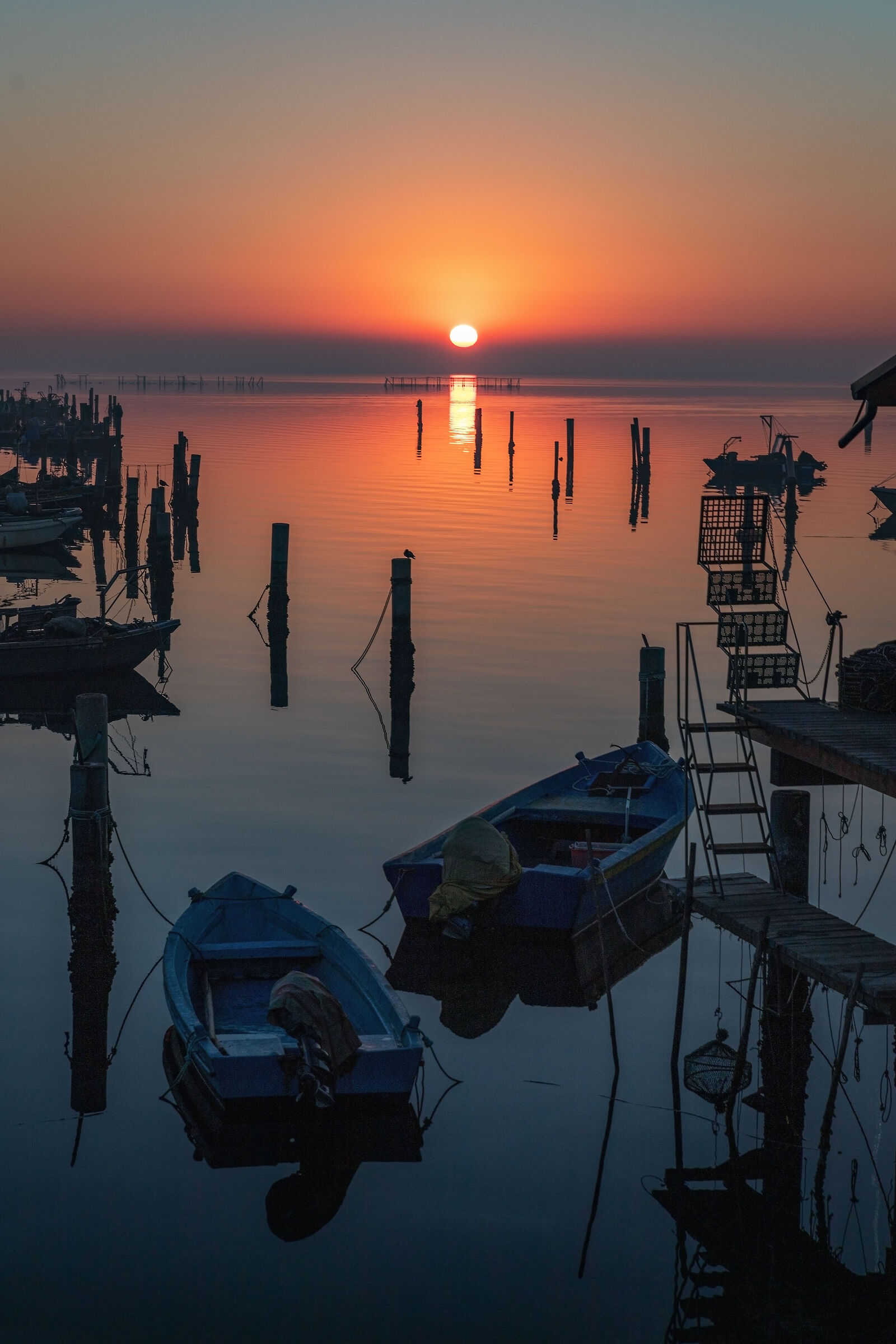 Sacca degli Scardovari