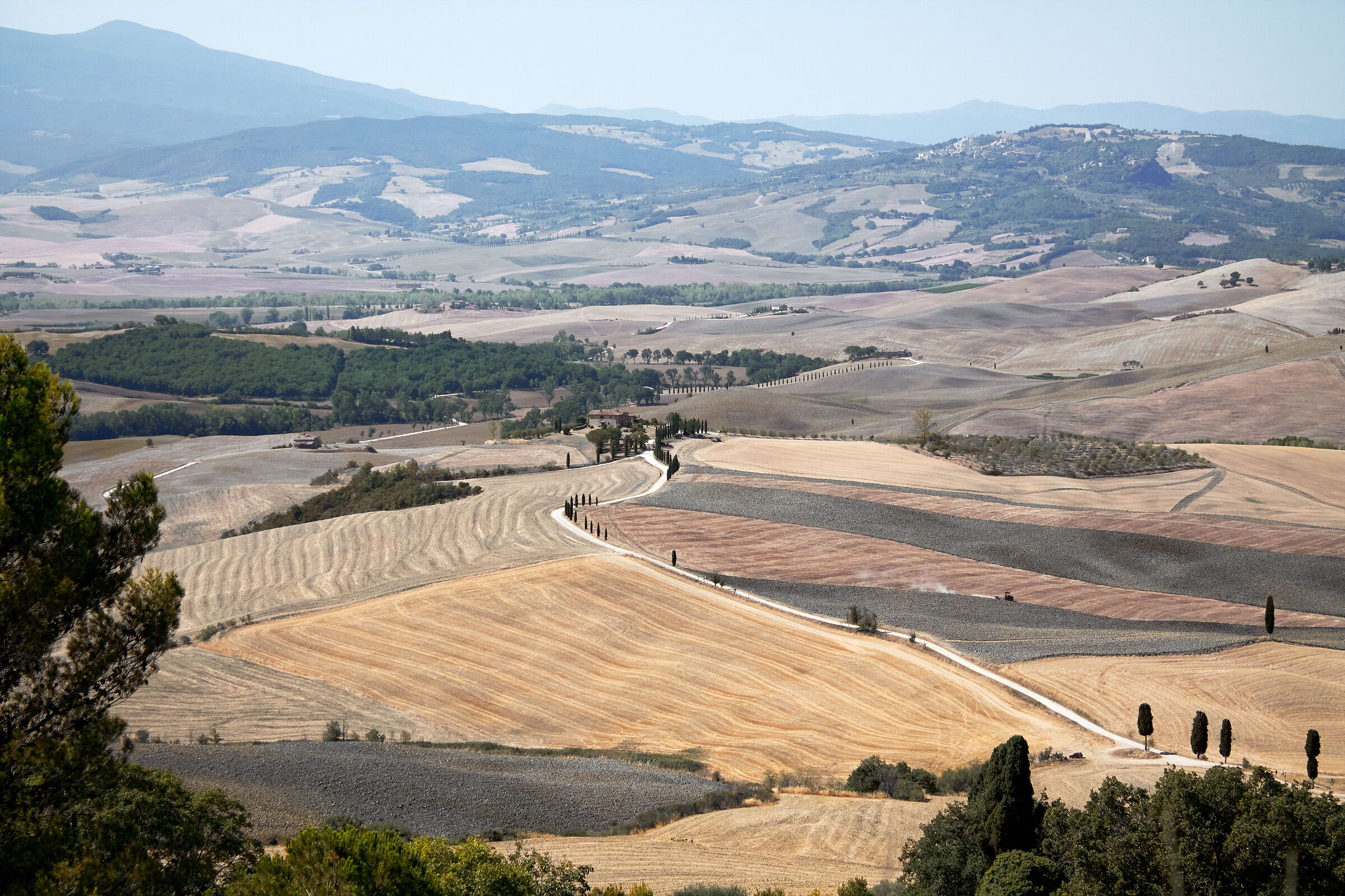 Lands of Siena