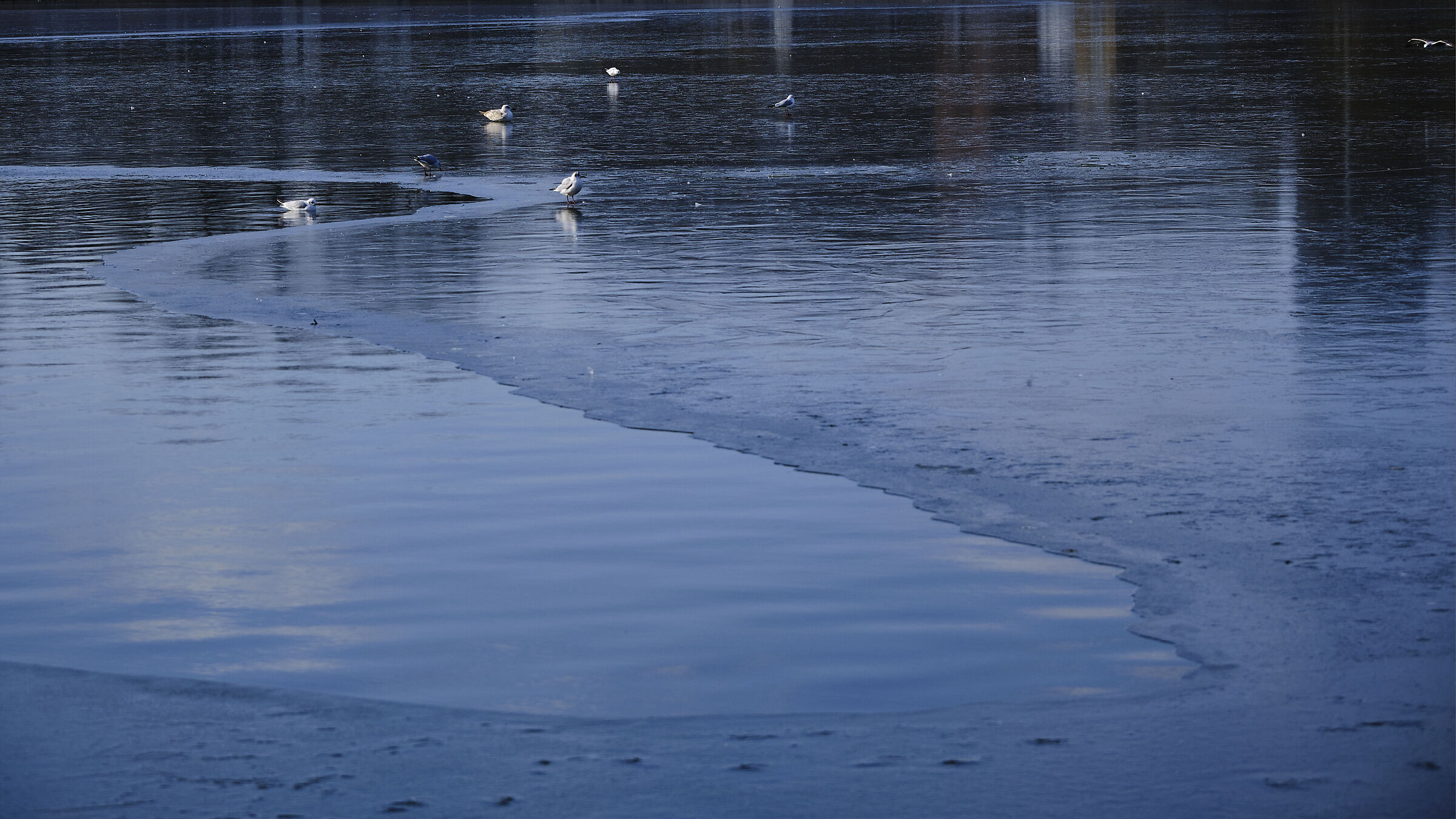 Geometria dell'acqua e del ghiaccio