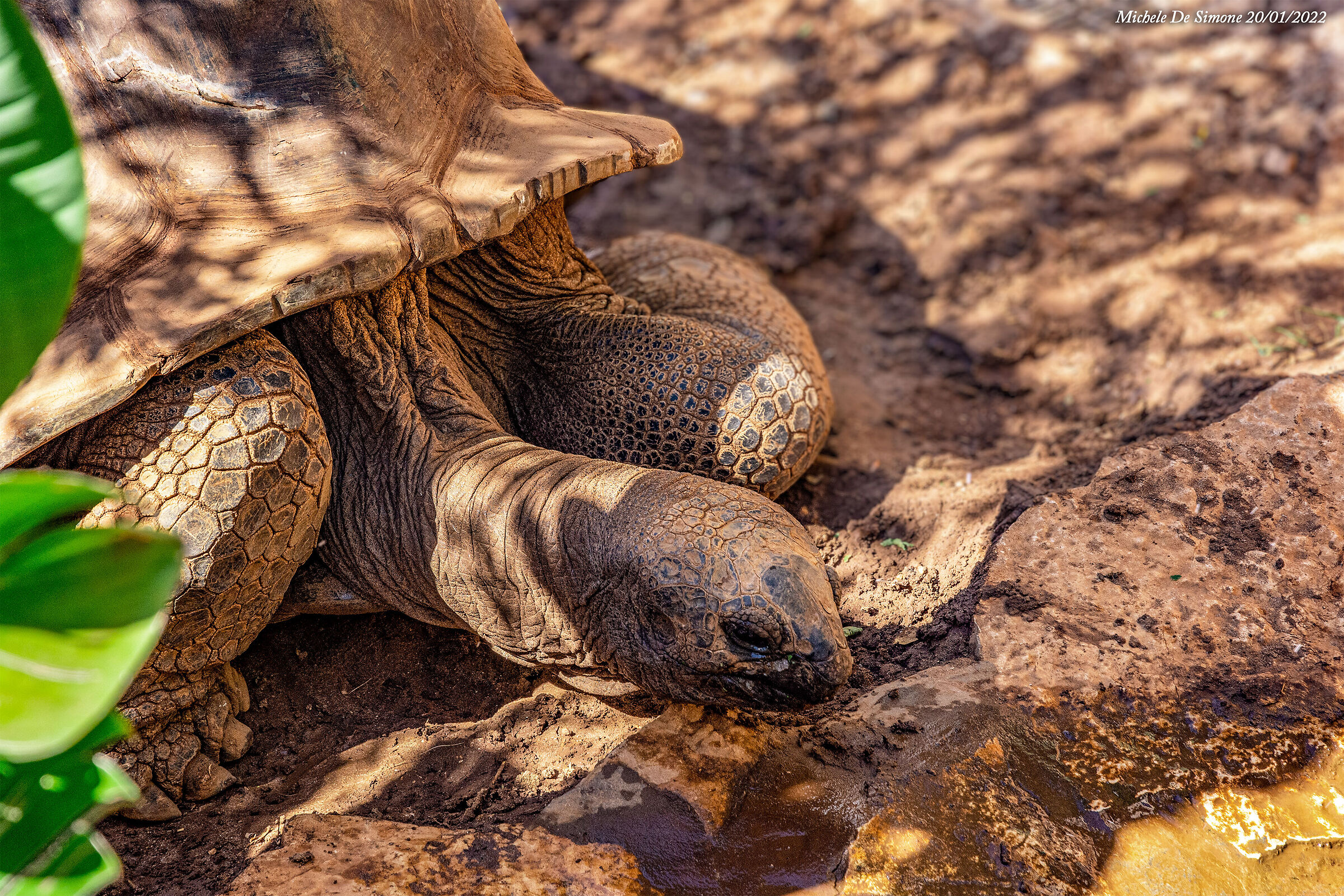 Who goes slowly goes healthy and goes far ....