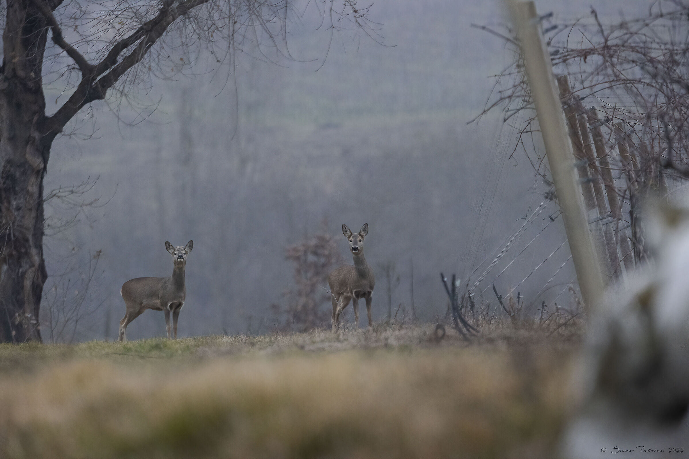 Incontri on the road....