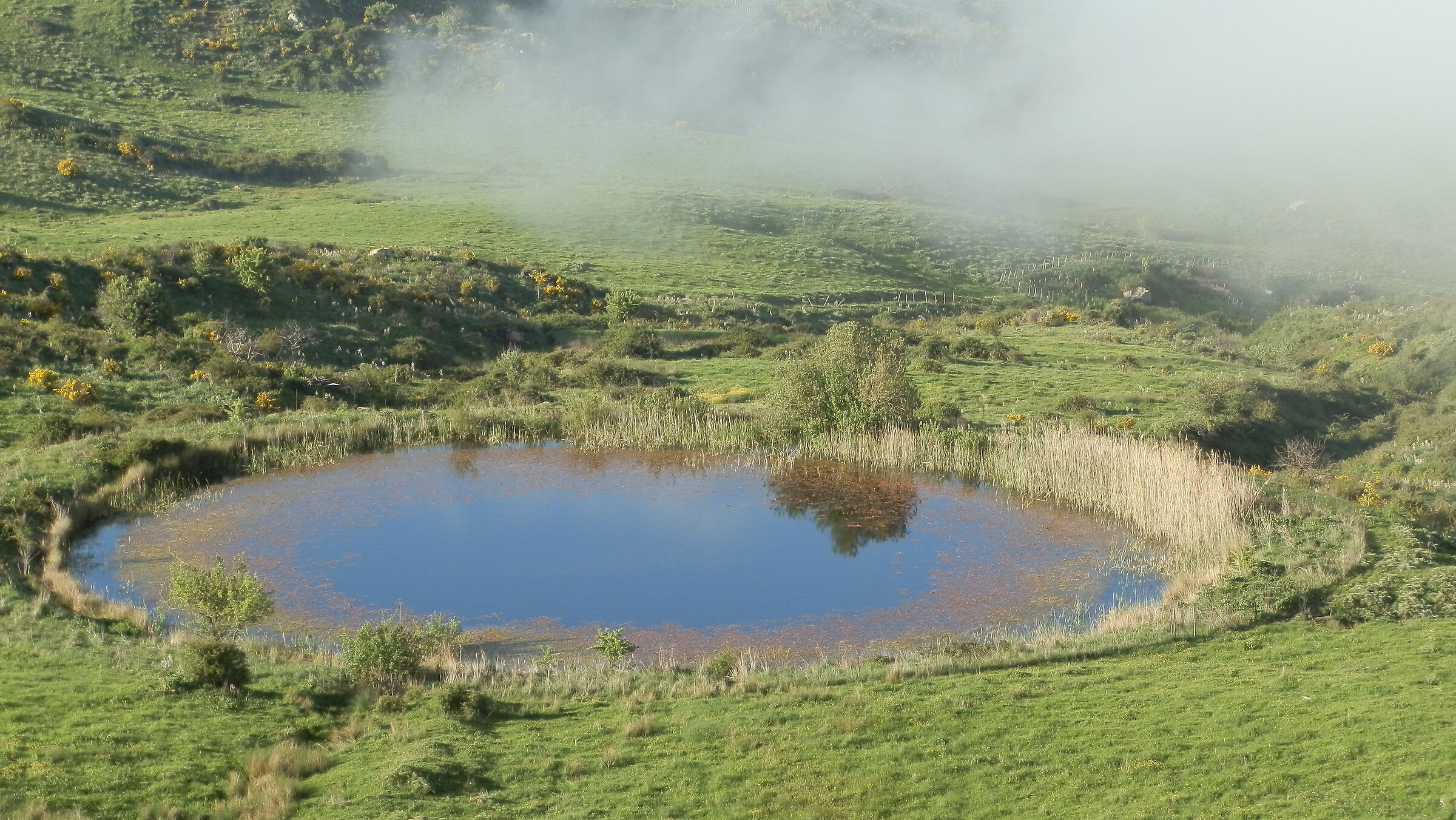 circle&fog
