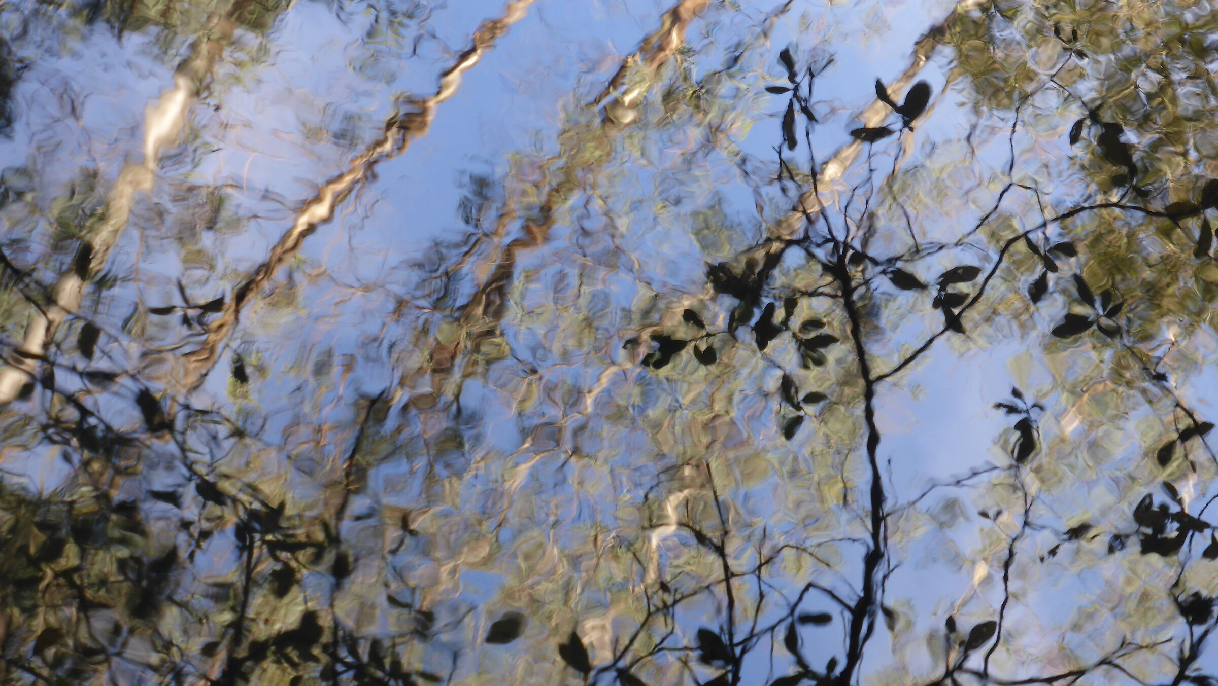Monet