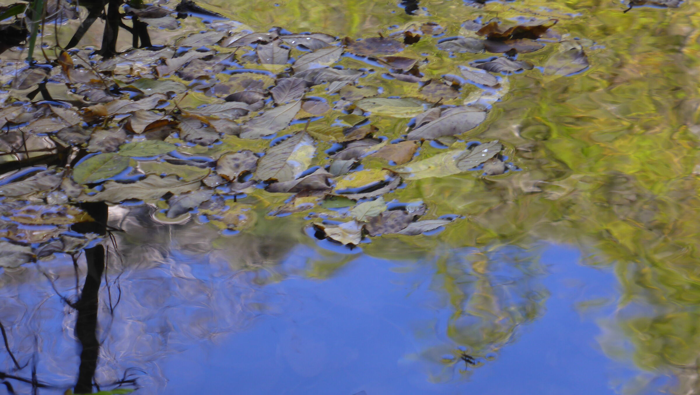 Monet2