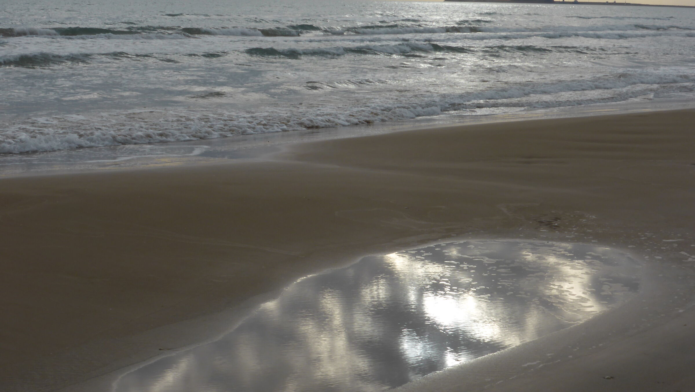 puddleside
