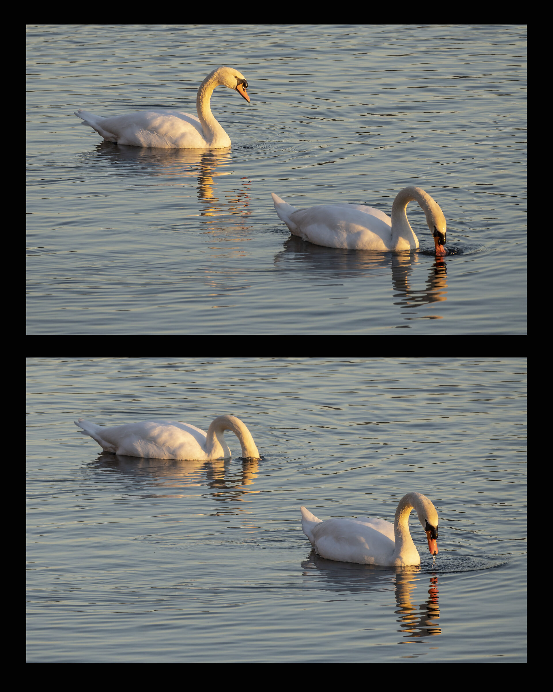 Wednesday, 12 January 2022, 16:36:50-52