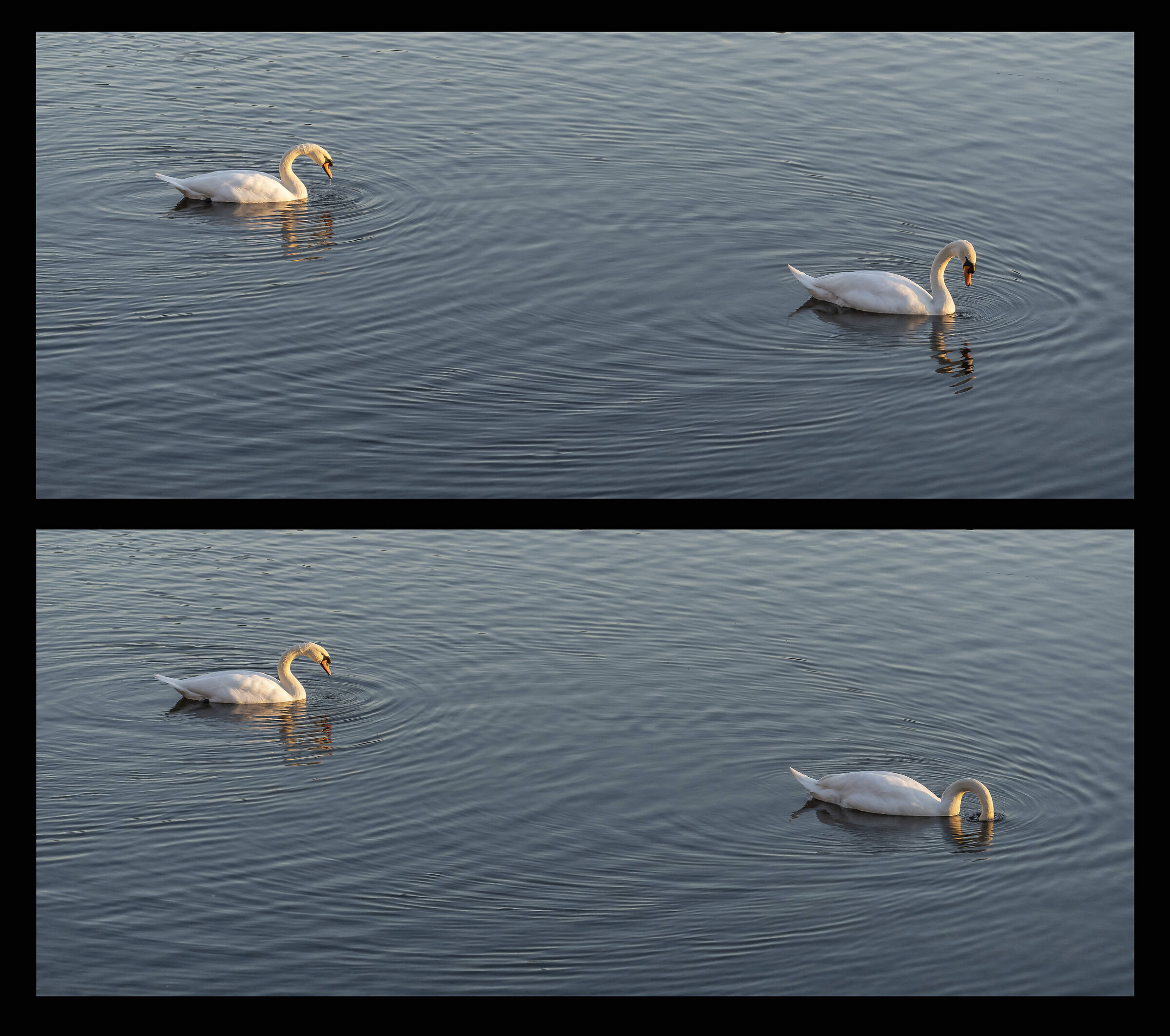 Wednesday, 12 January 2022, 16:38:06