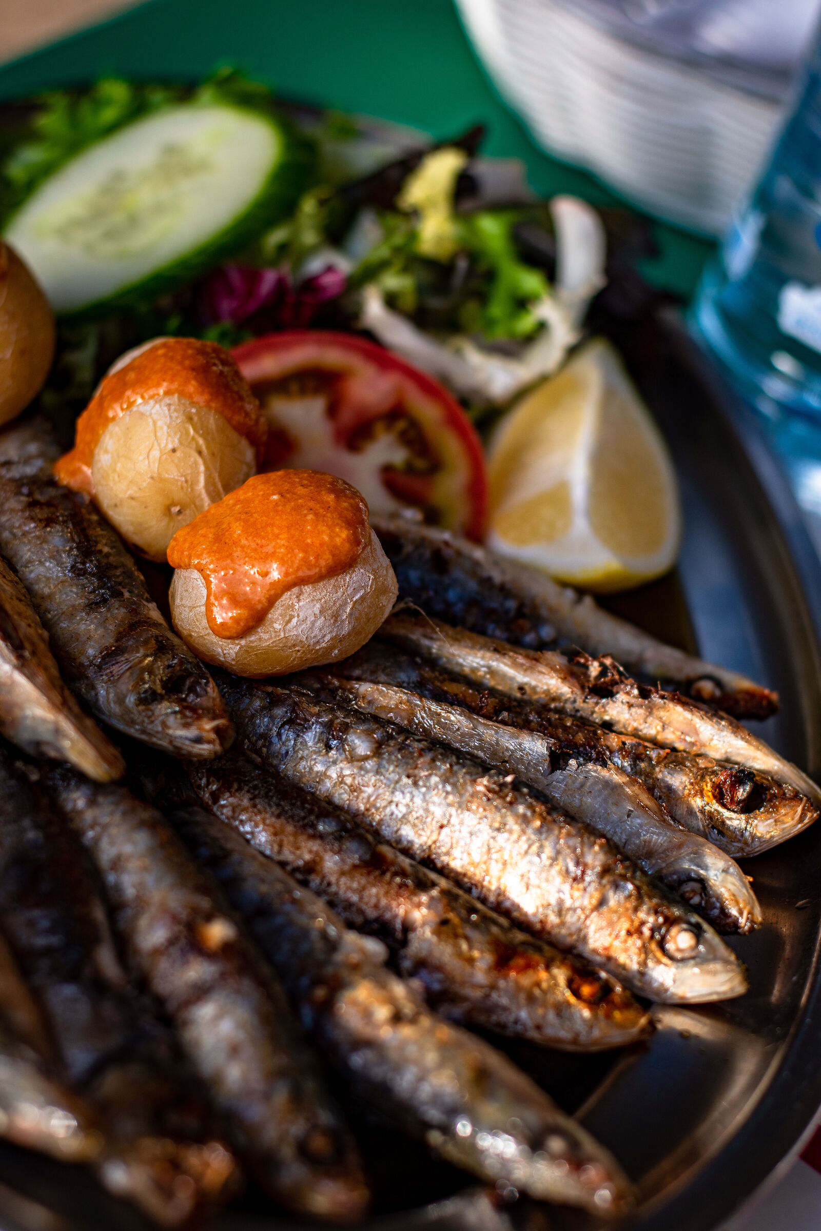 tapas alici