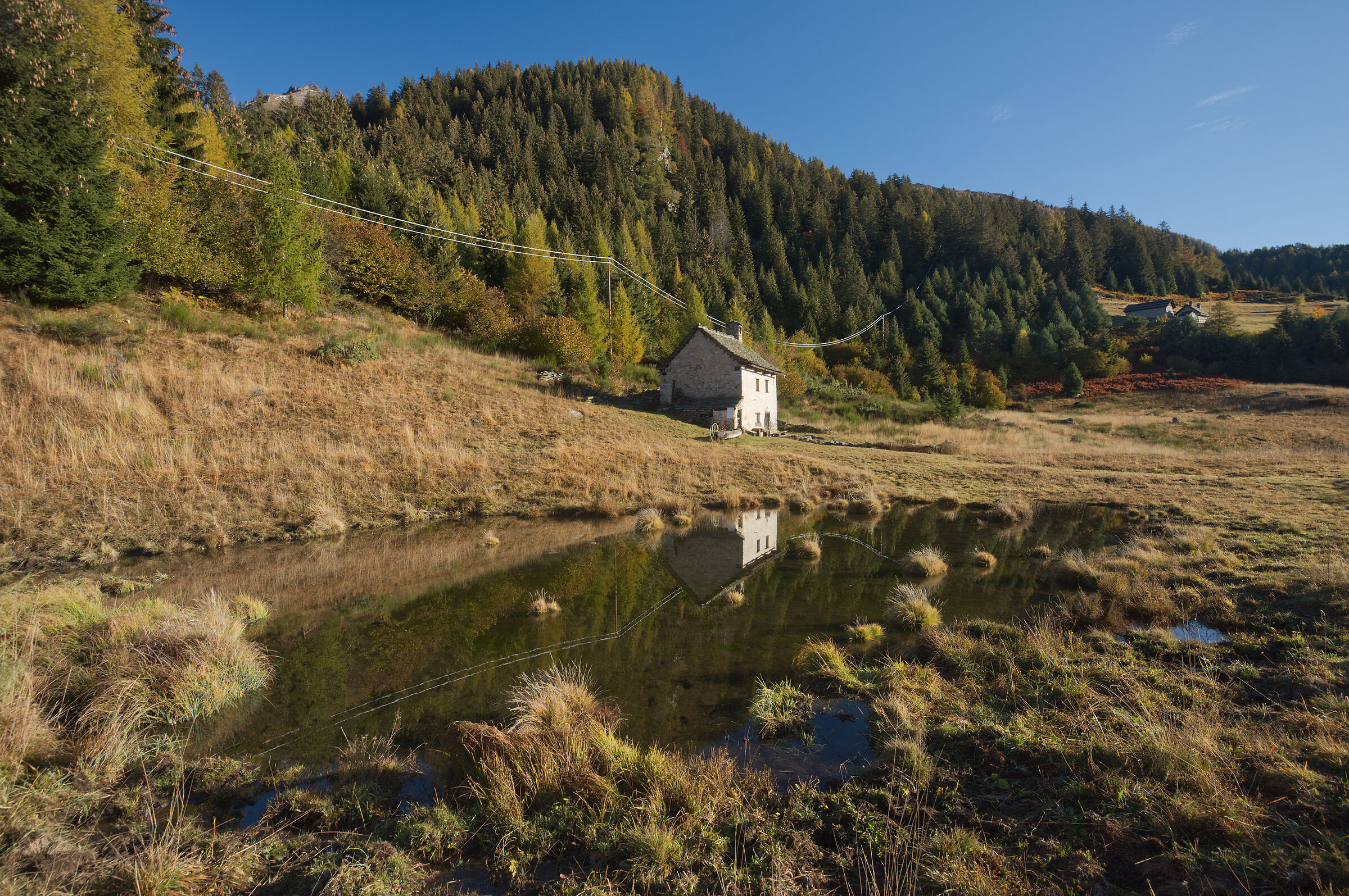 autunno 2020 Valdivedro