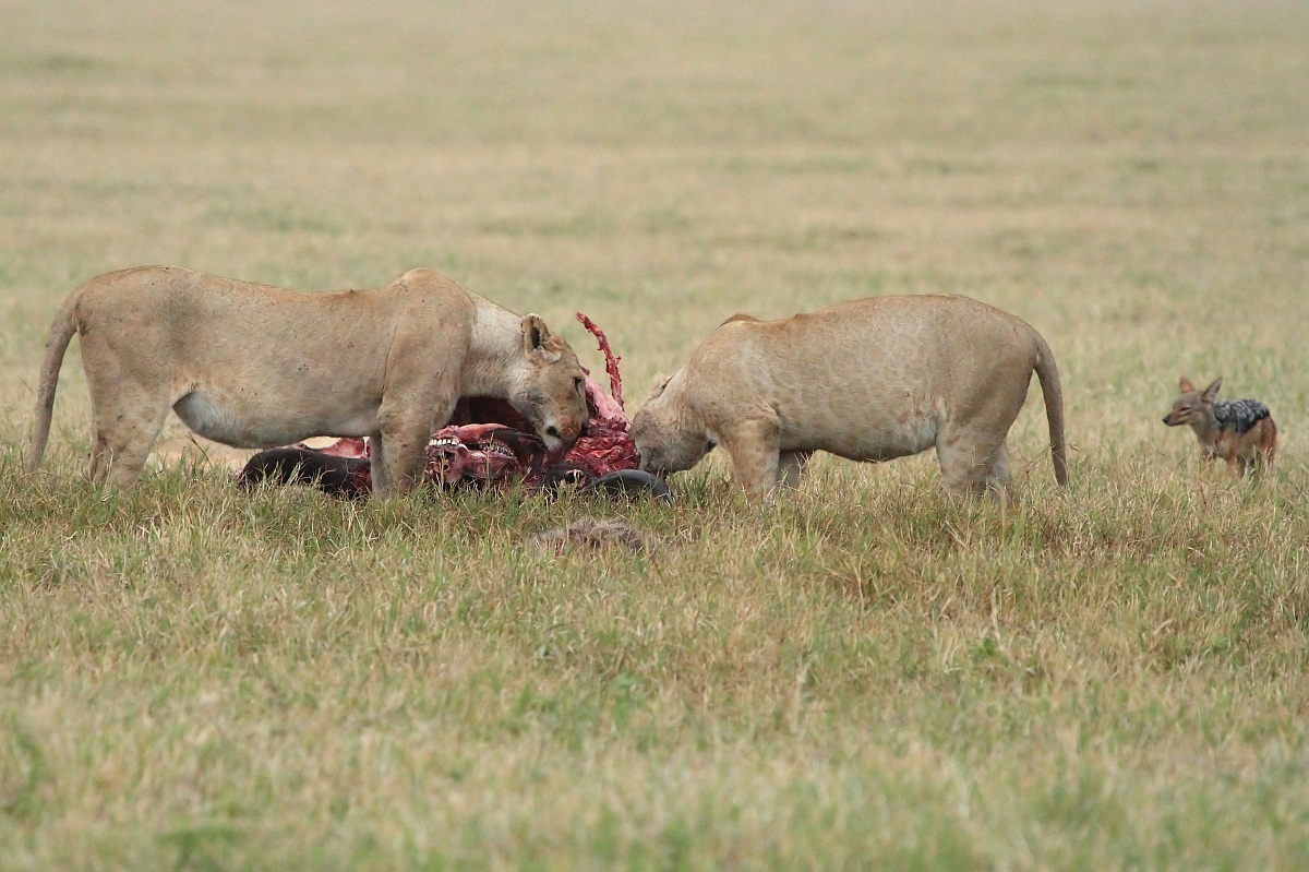 Leave something to me