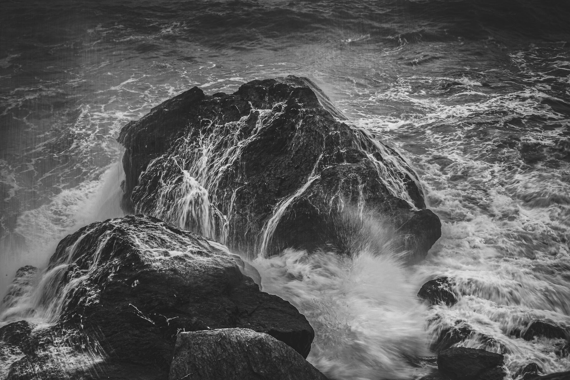 Untitled Photo