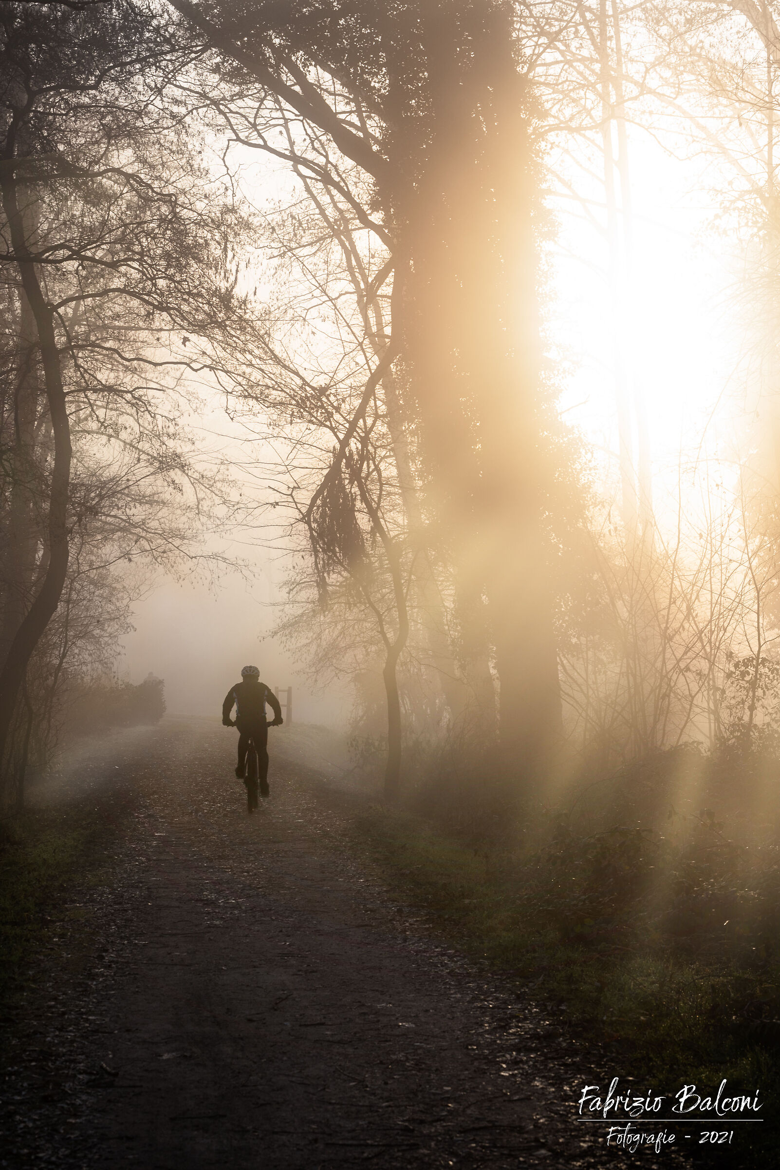 Sunrise along the Adda
