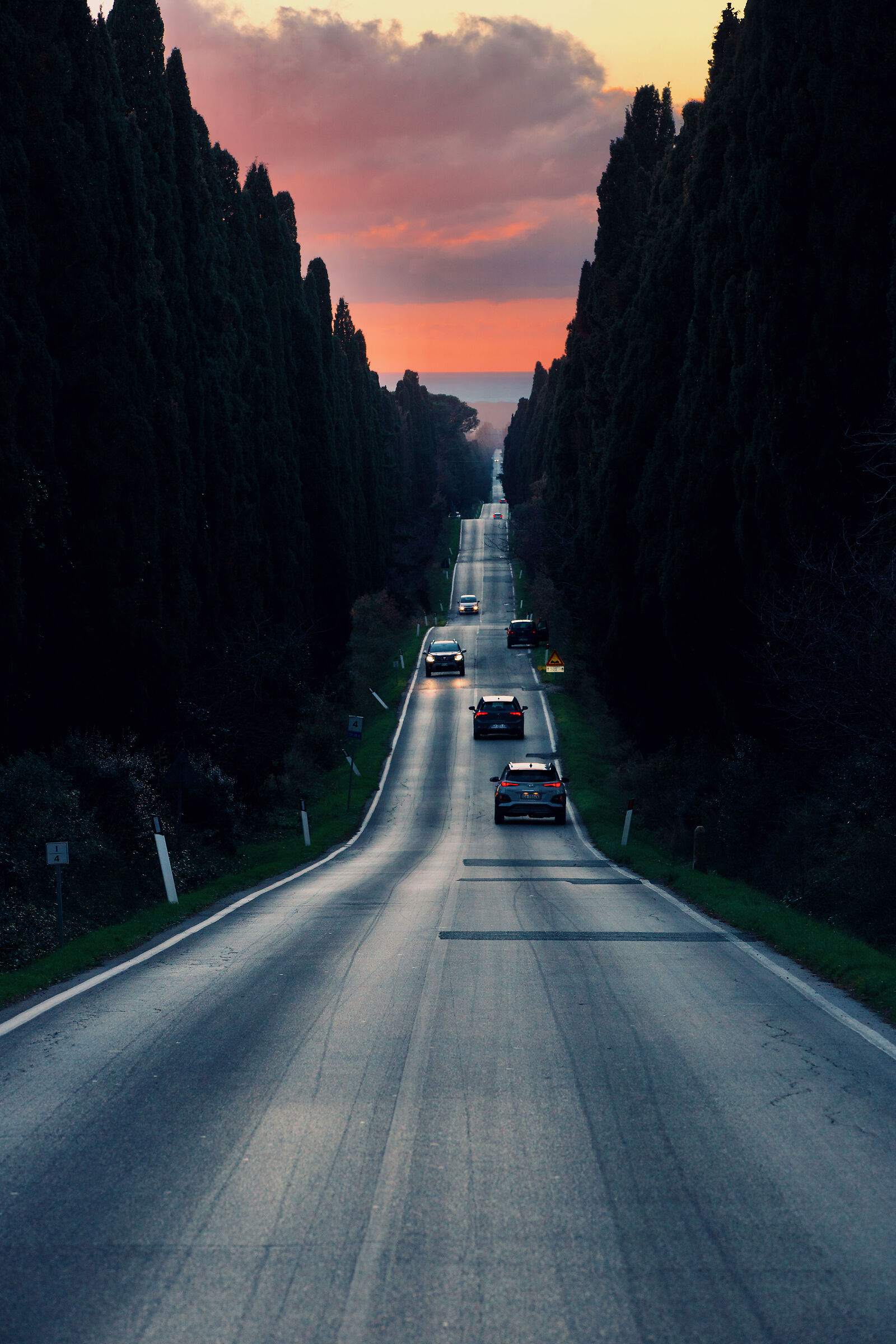 I'll take you up that long avenue of cypress trees