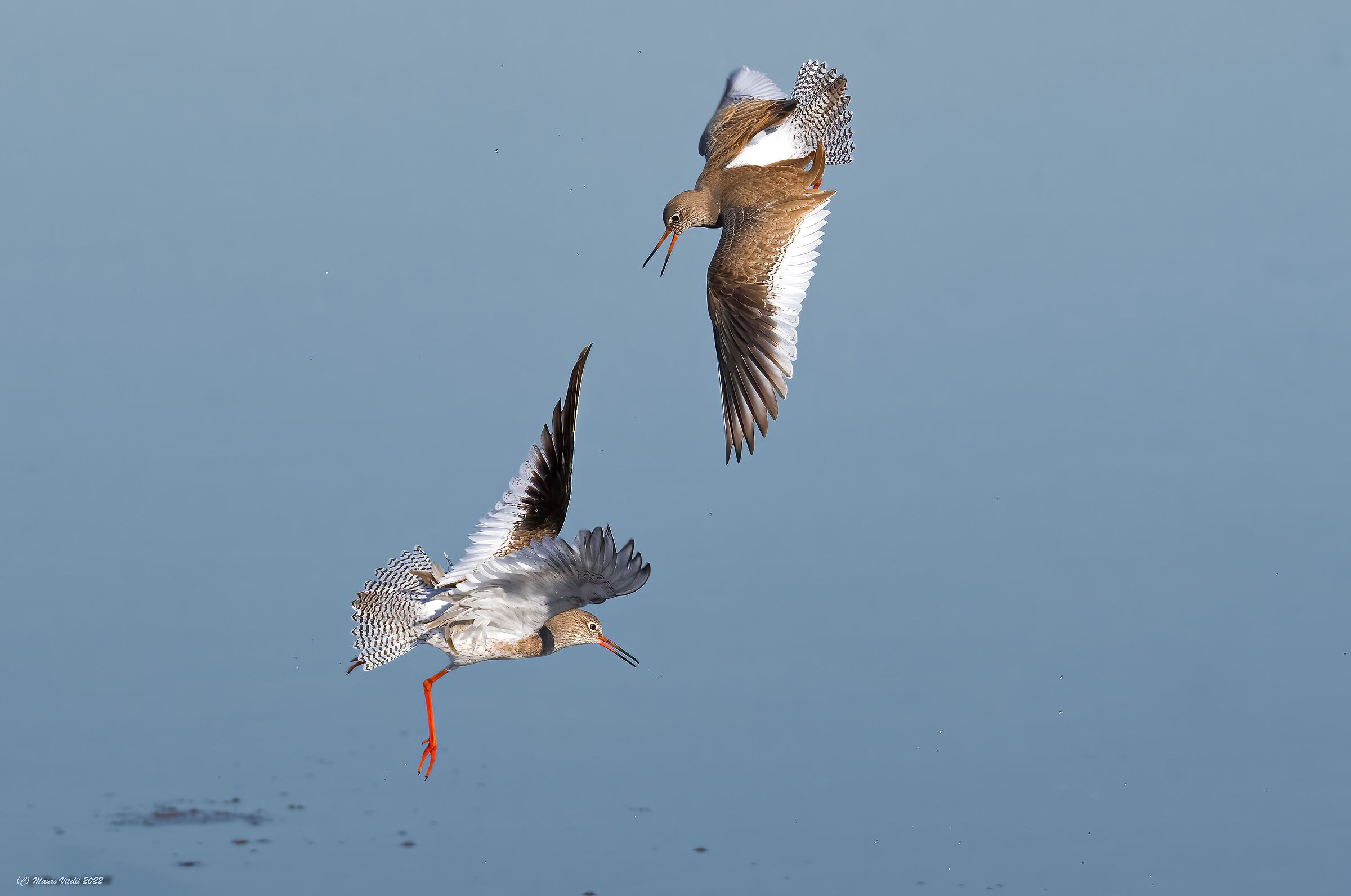 Finally the light... Barrel between Gossip