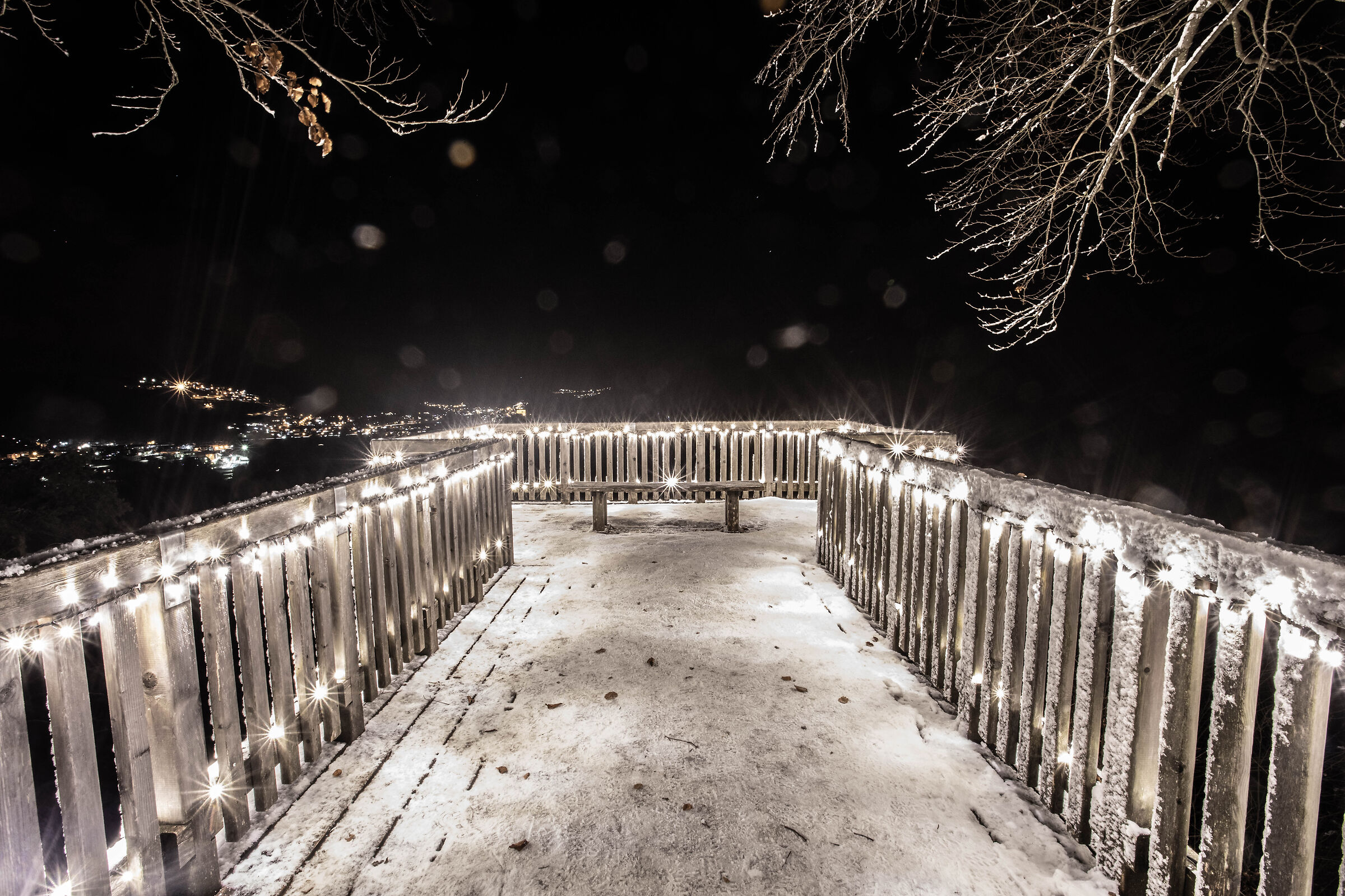 the Christmas terrace