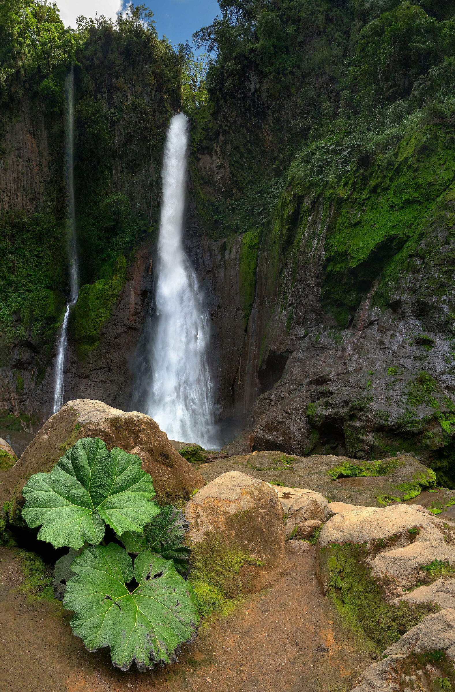 Catarata del Toro