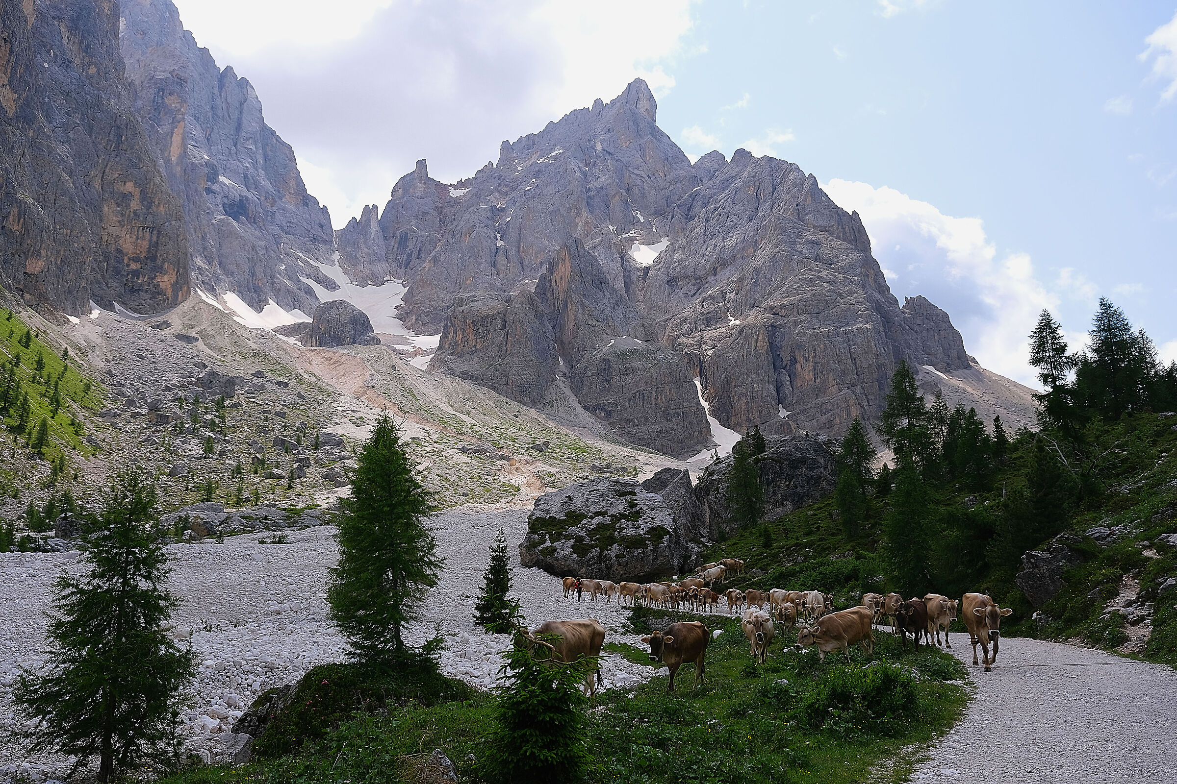 Un dia a Val Venegia