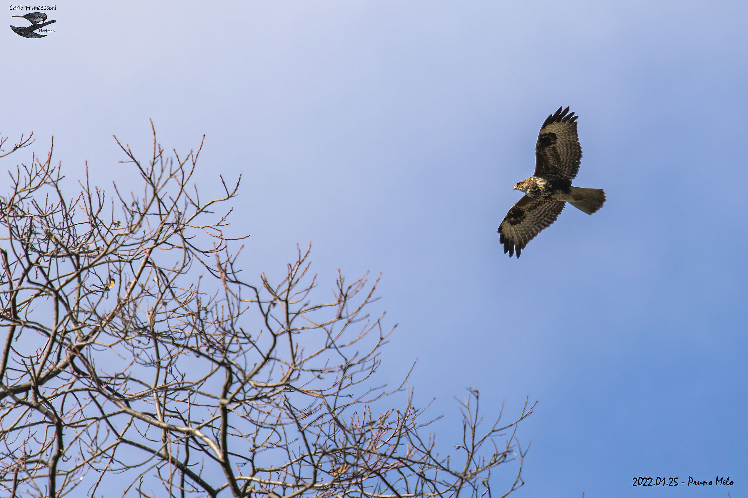 Una Poiana a Pruno di Stazzema