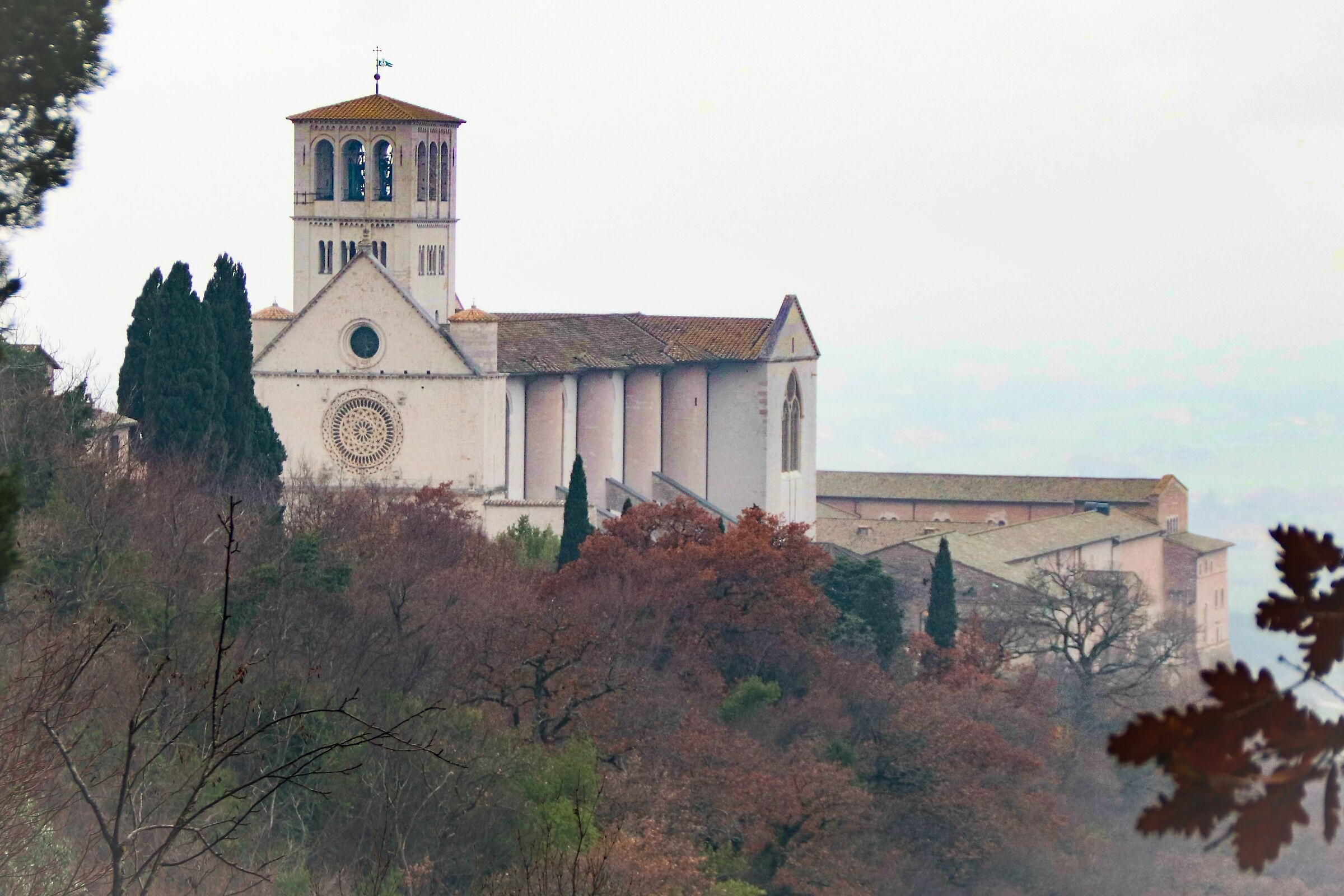 Basilica San Francesco Assisi