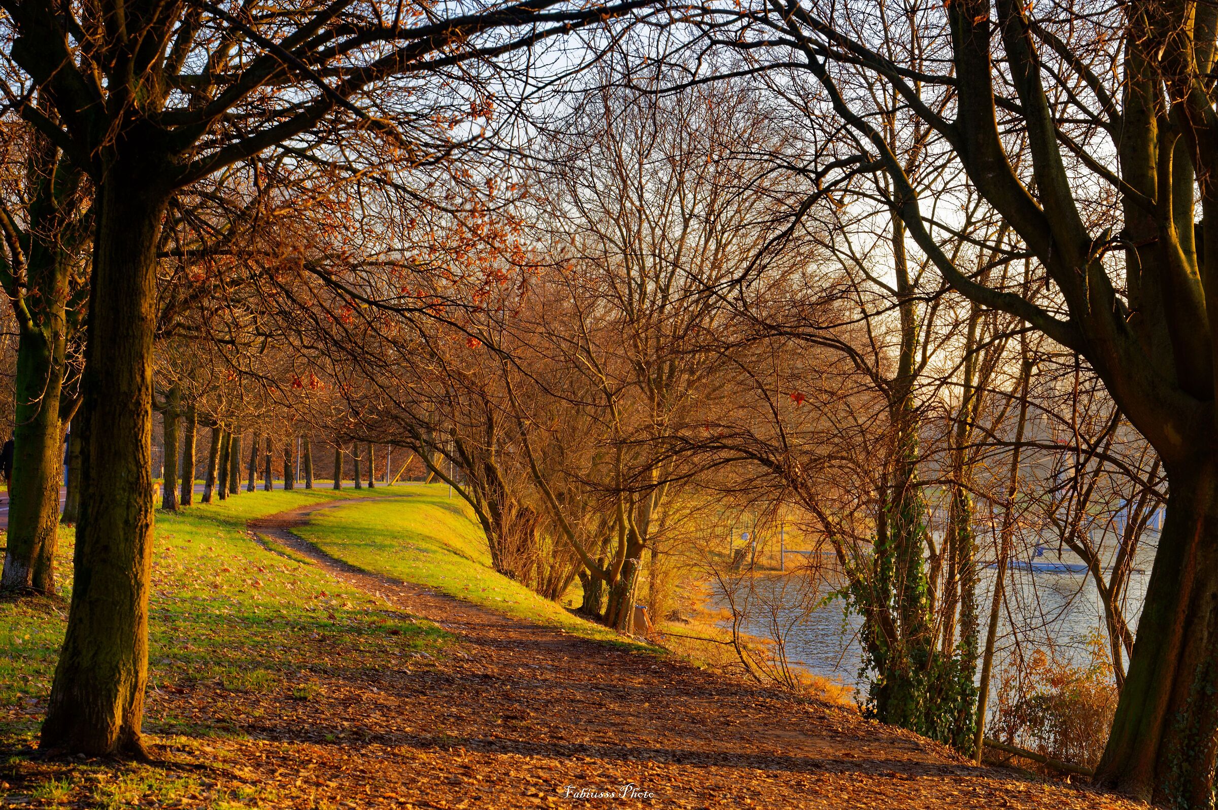 Un bel tappeto rosso